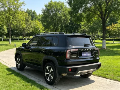 Haval Big Dog DaGou