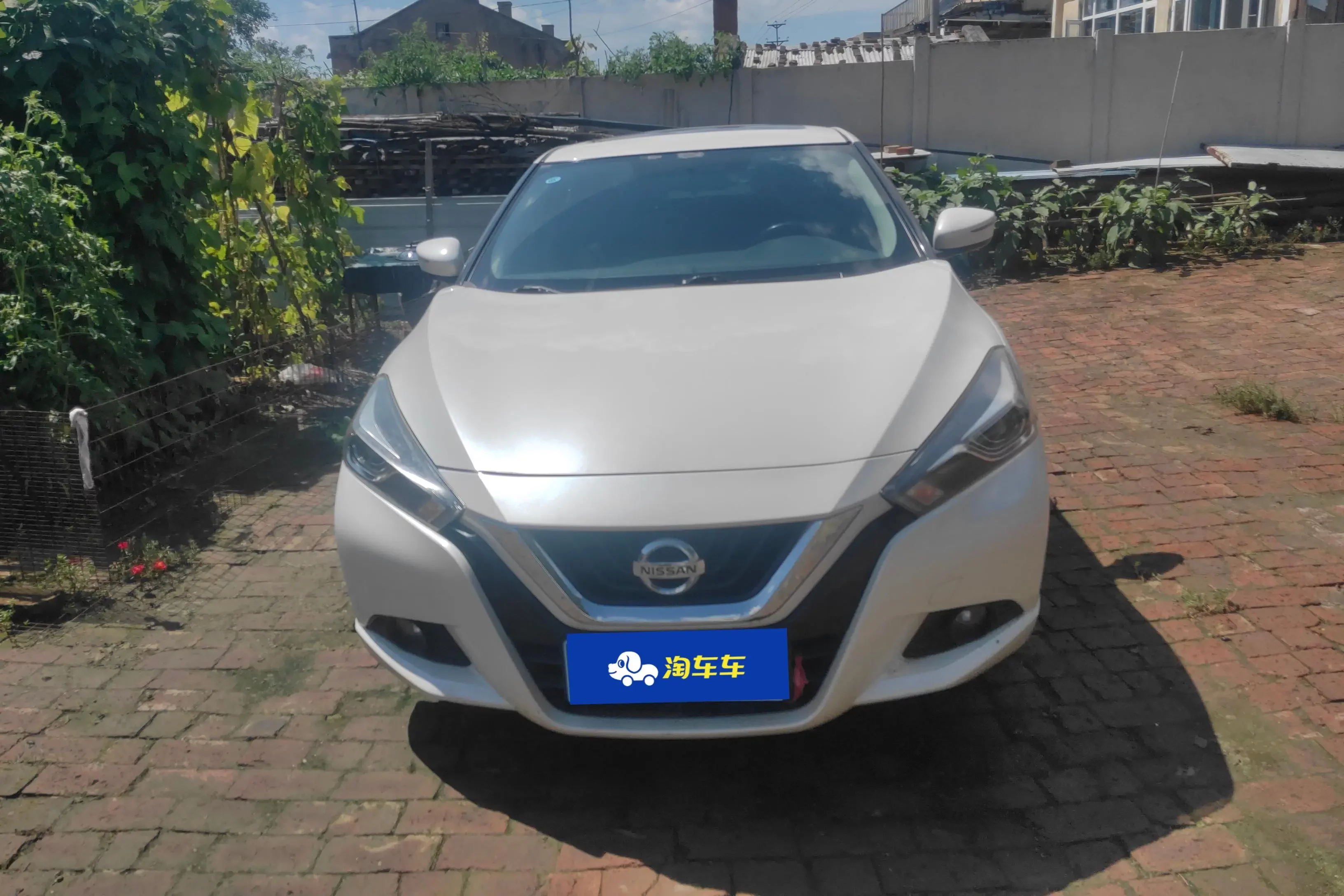 Nissan bluebird
