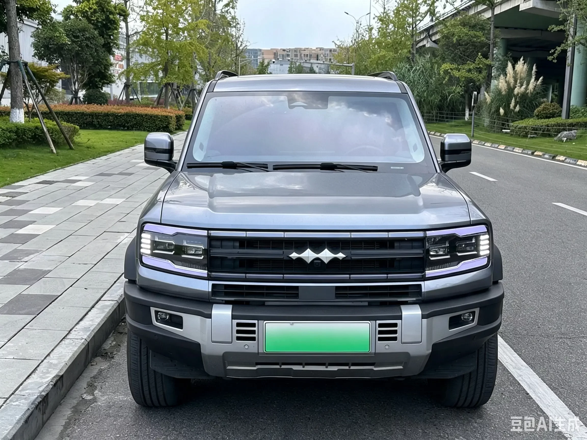 BYD Leopard Leopard 5
