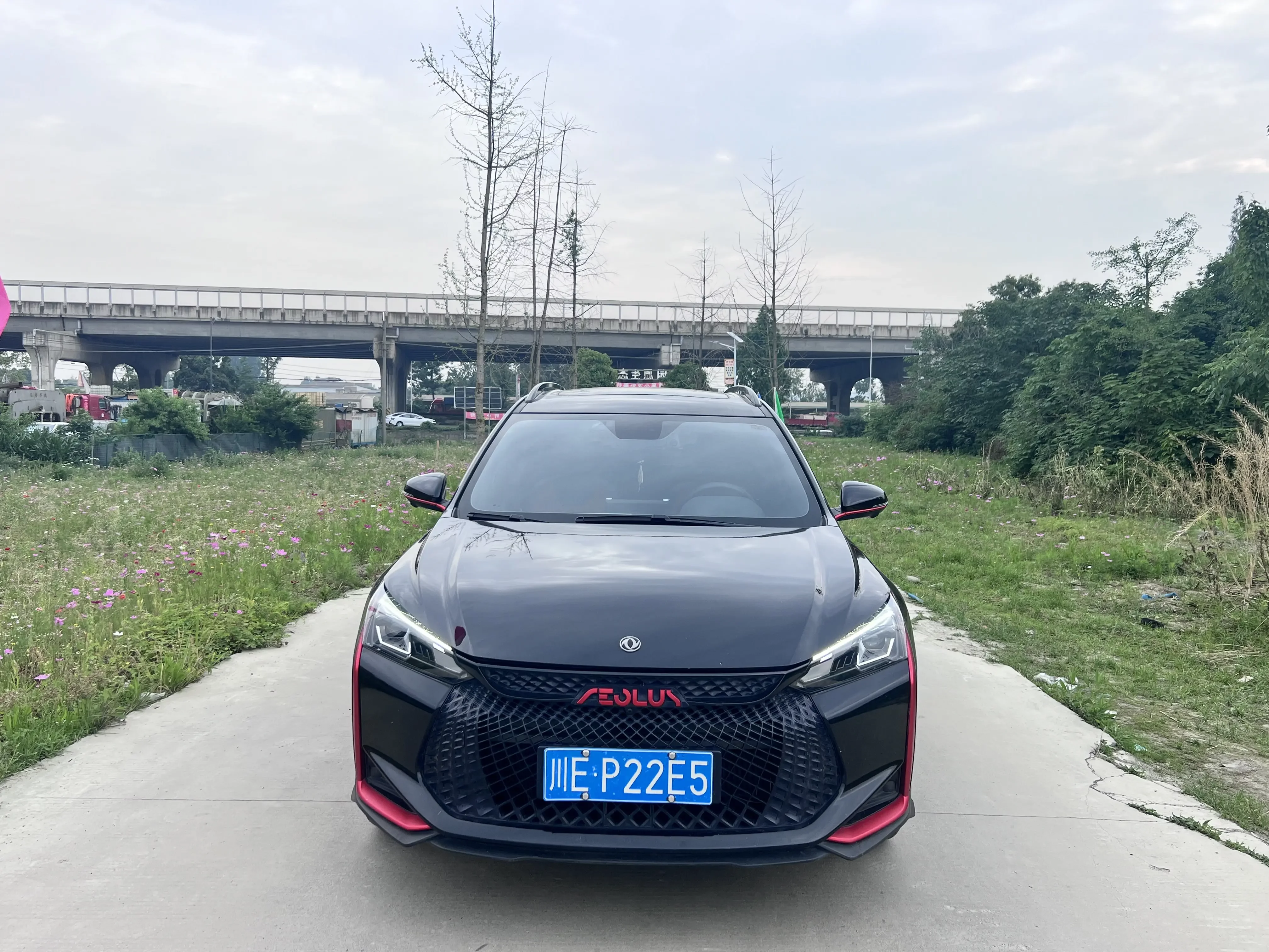 Dongfeng Yixuan GS