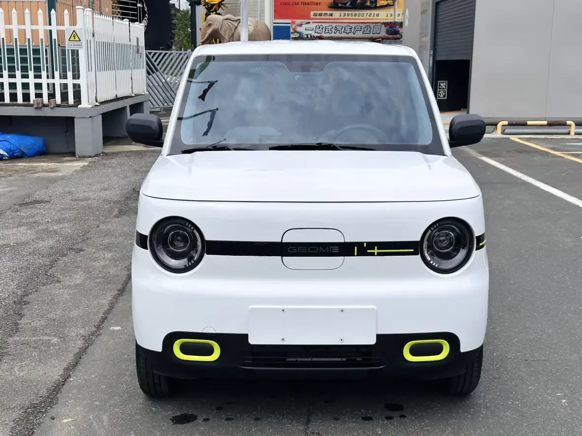 Geely panda