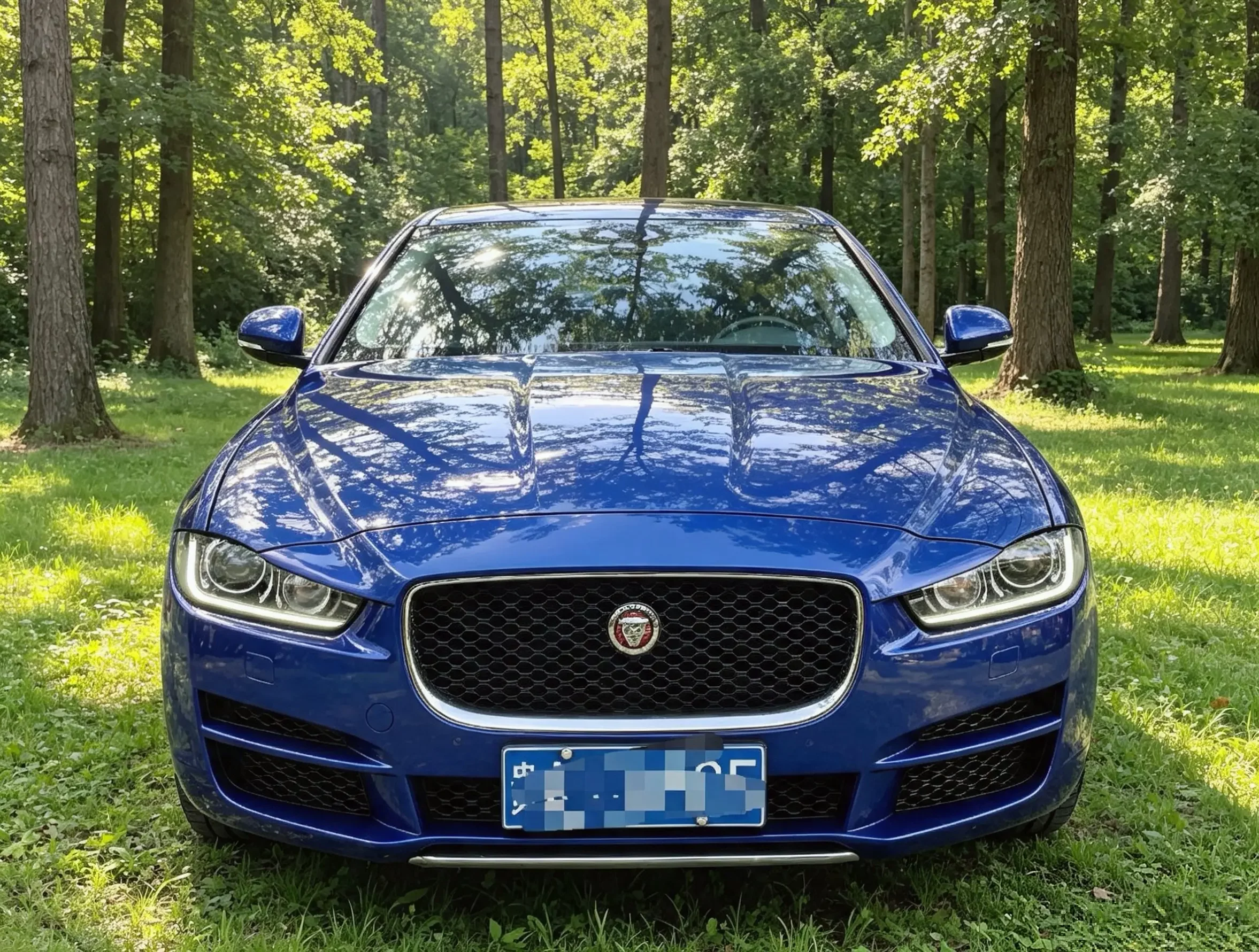 Jaguar XEL