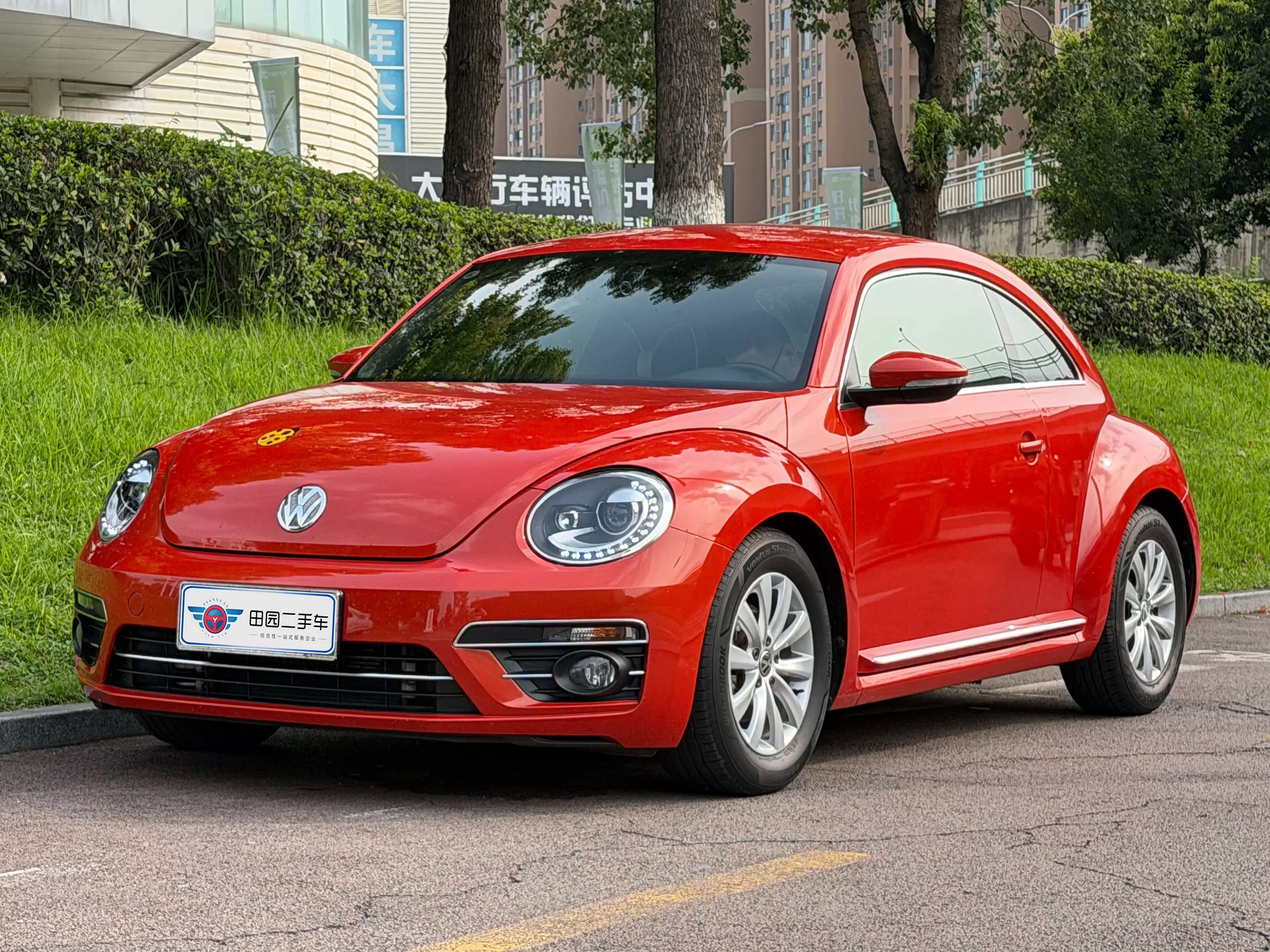 Volkswagen Beetle
