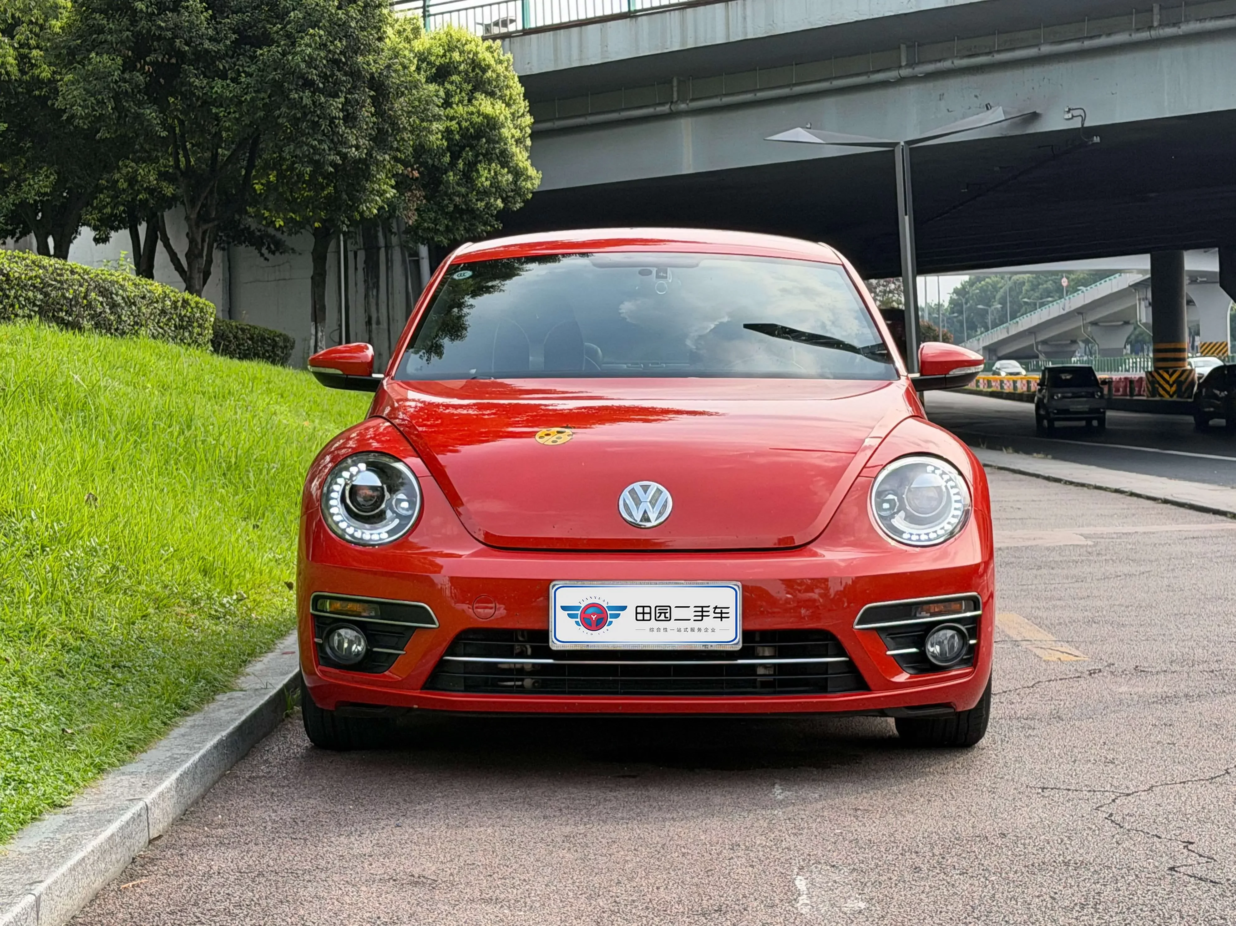 Volkswagen Beetle