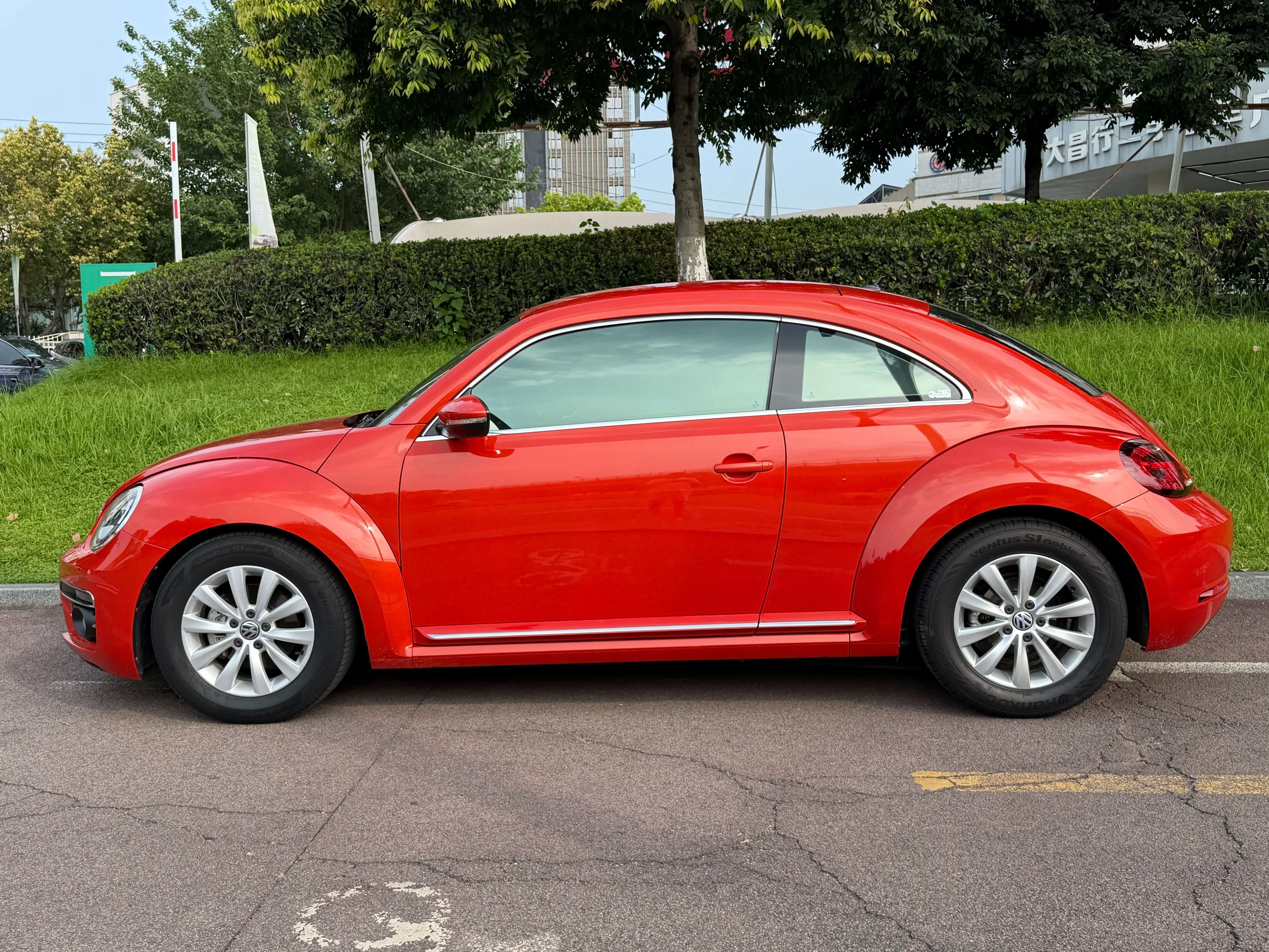 Volkswagen Beetle