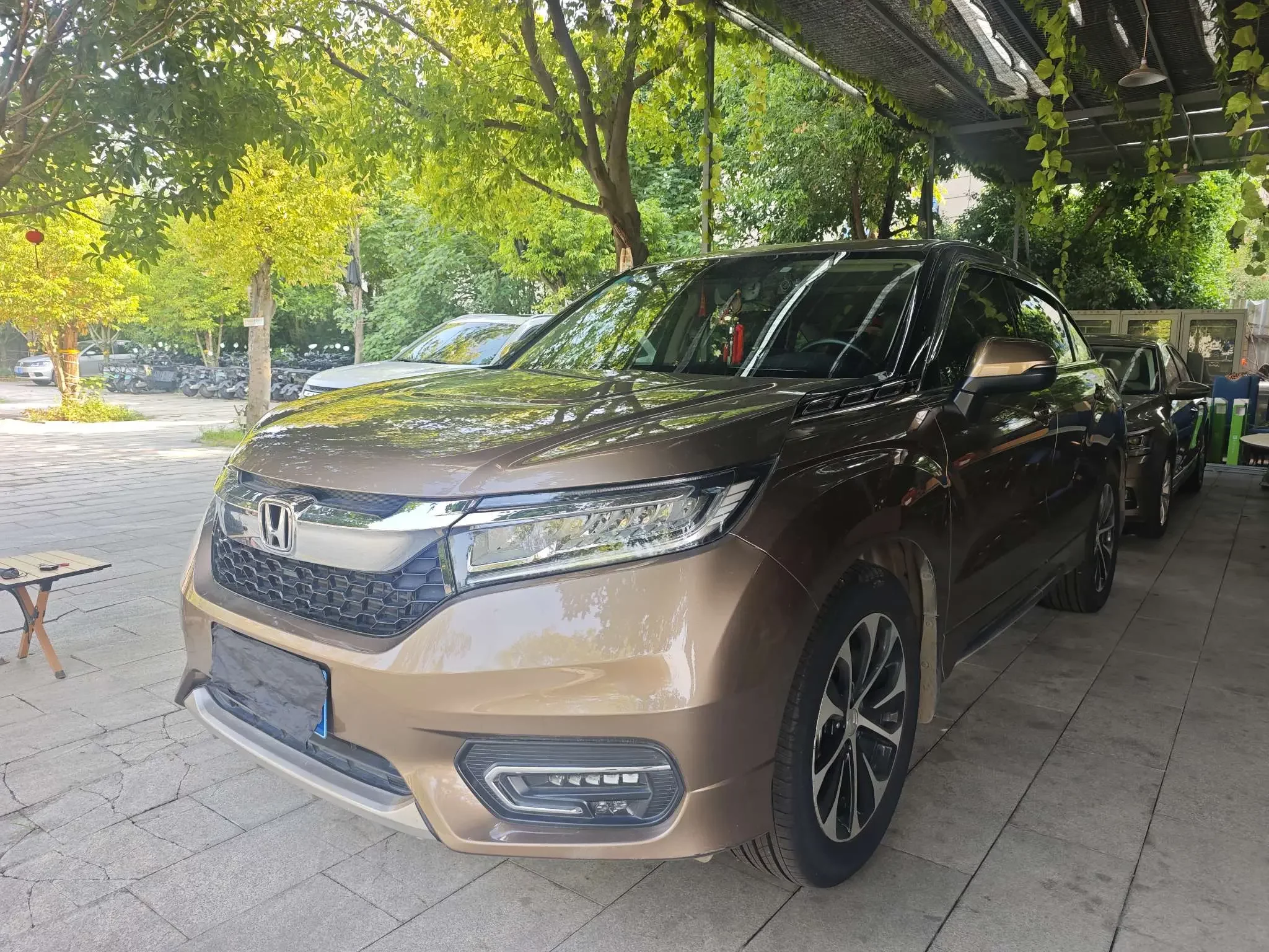 Honda Avancier (Crown Road)