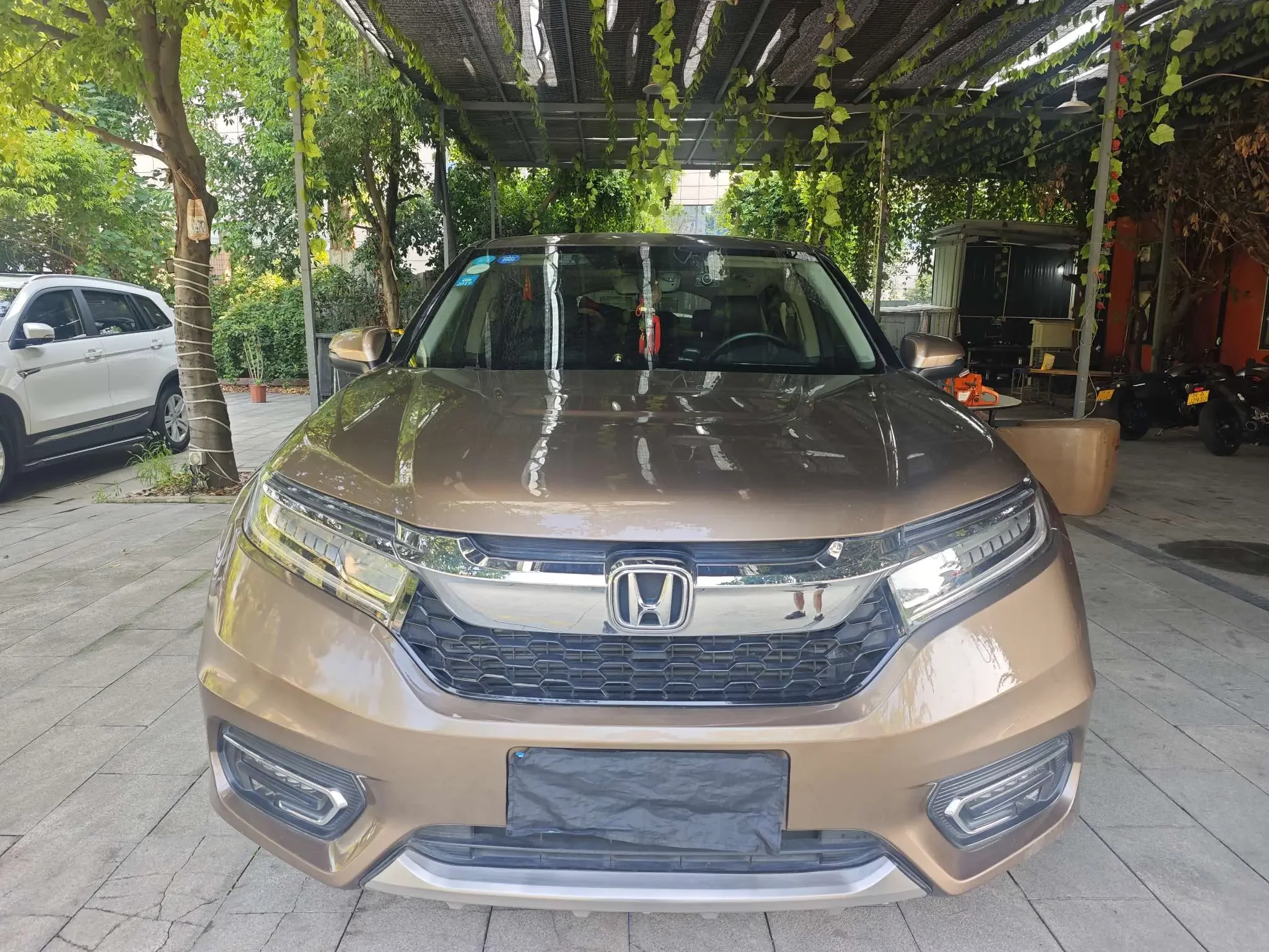 Honda Avancier (Crown Road)