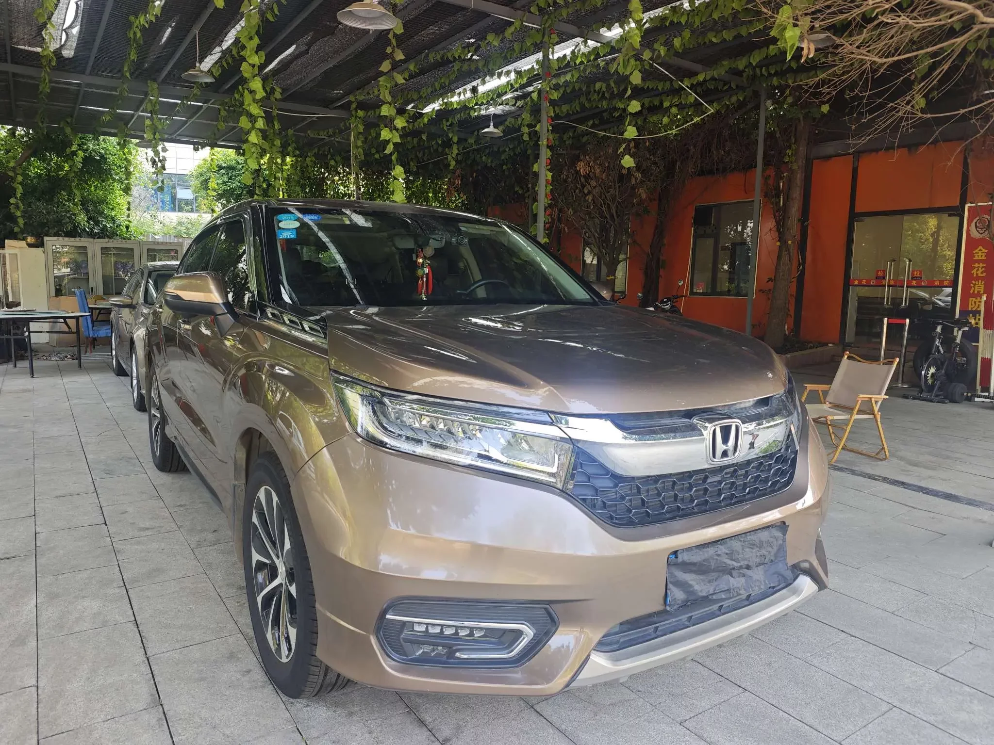 Honda Avancier (Crown Road)