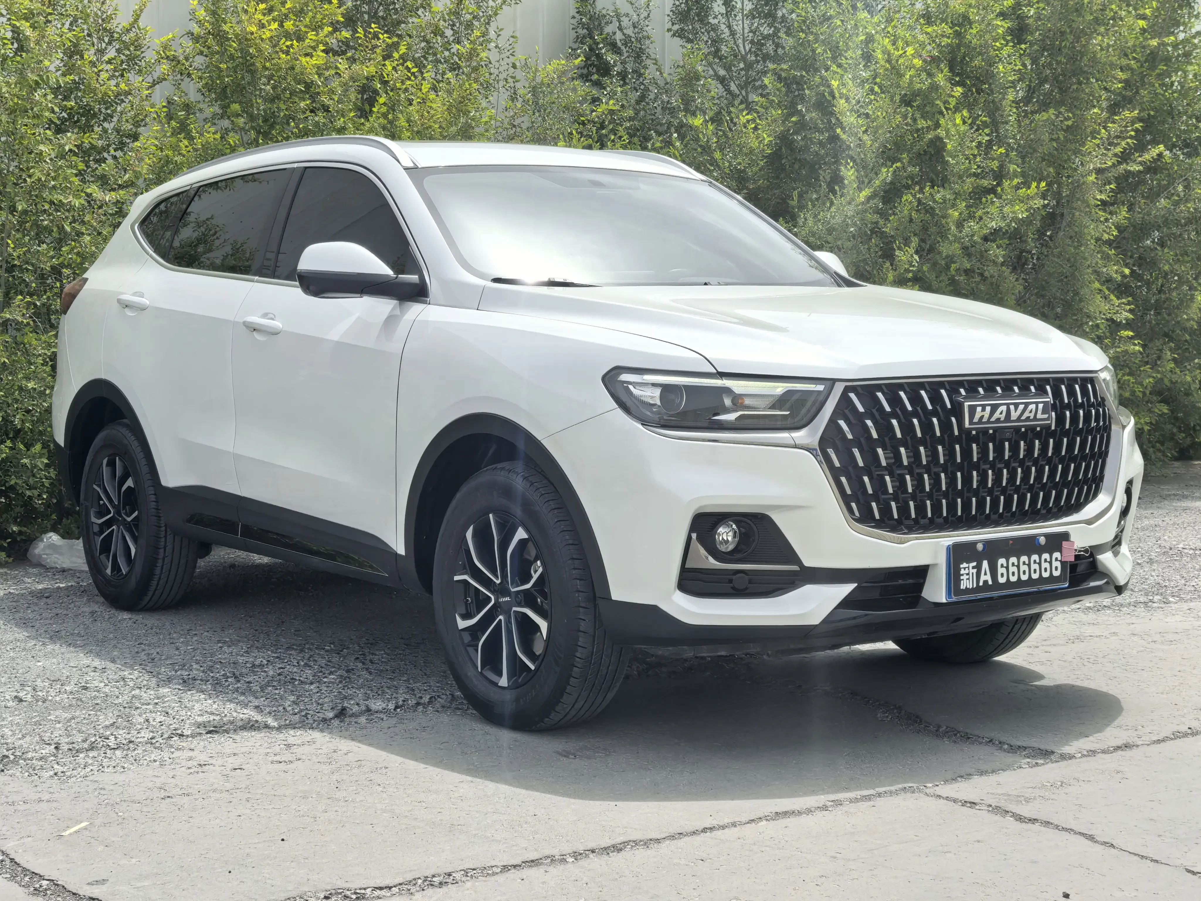 Haval H6