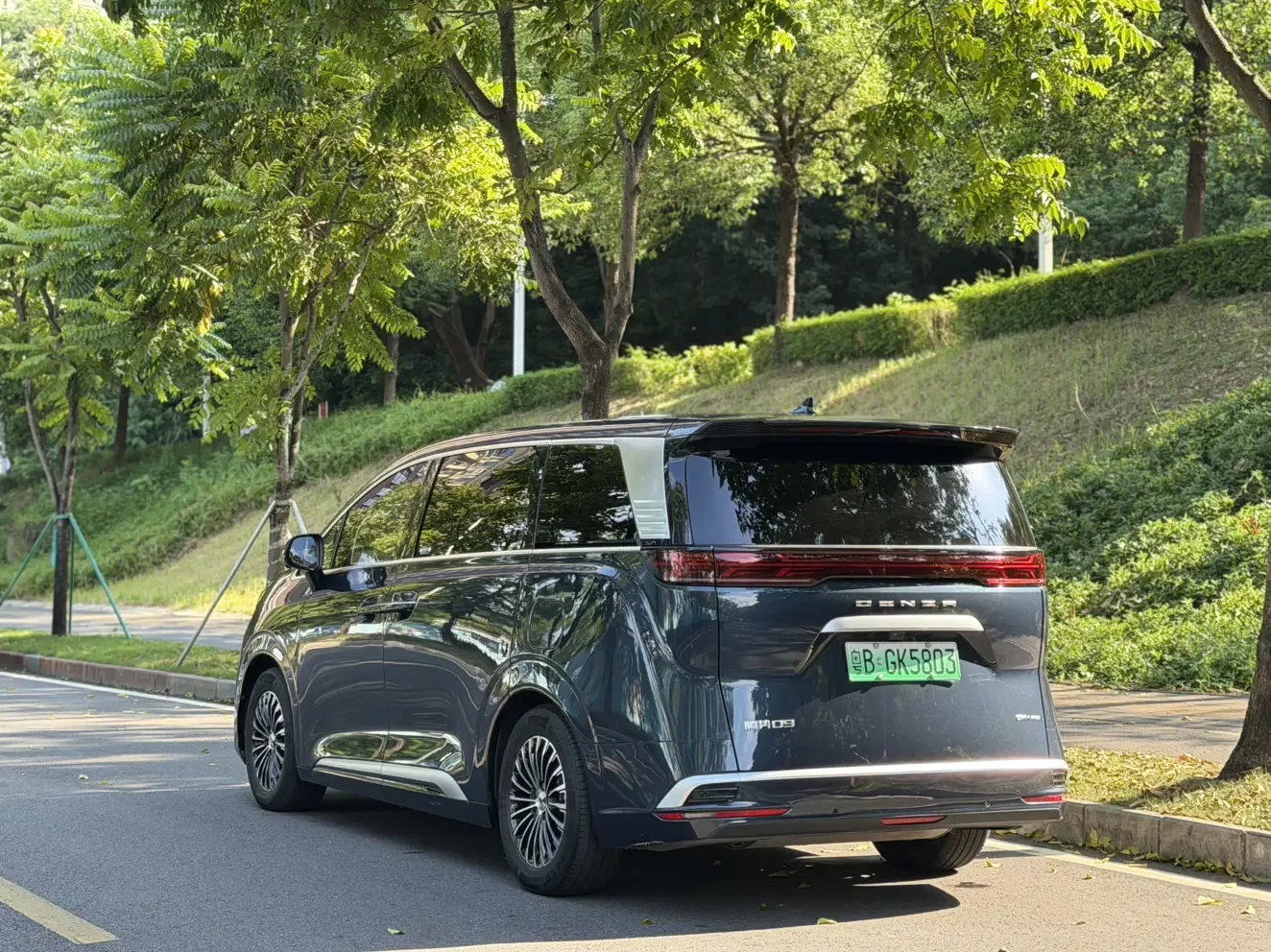 Denza D9 DM