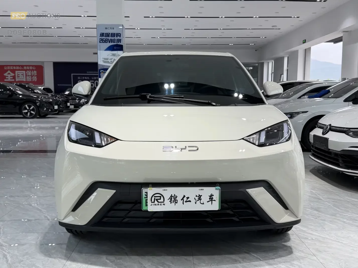 BYD seagull
