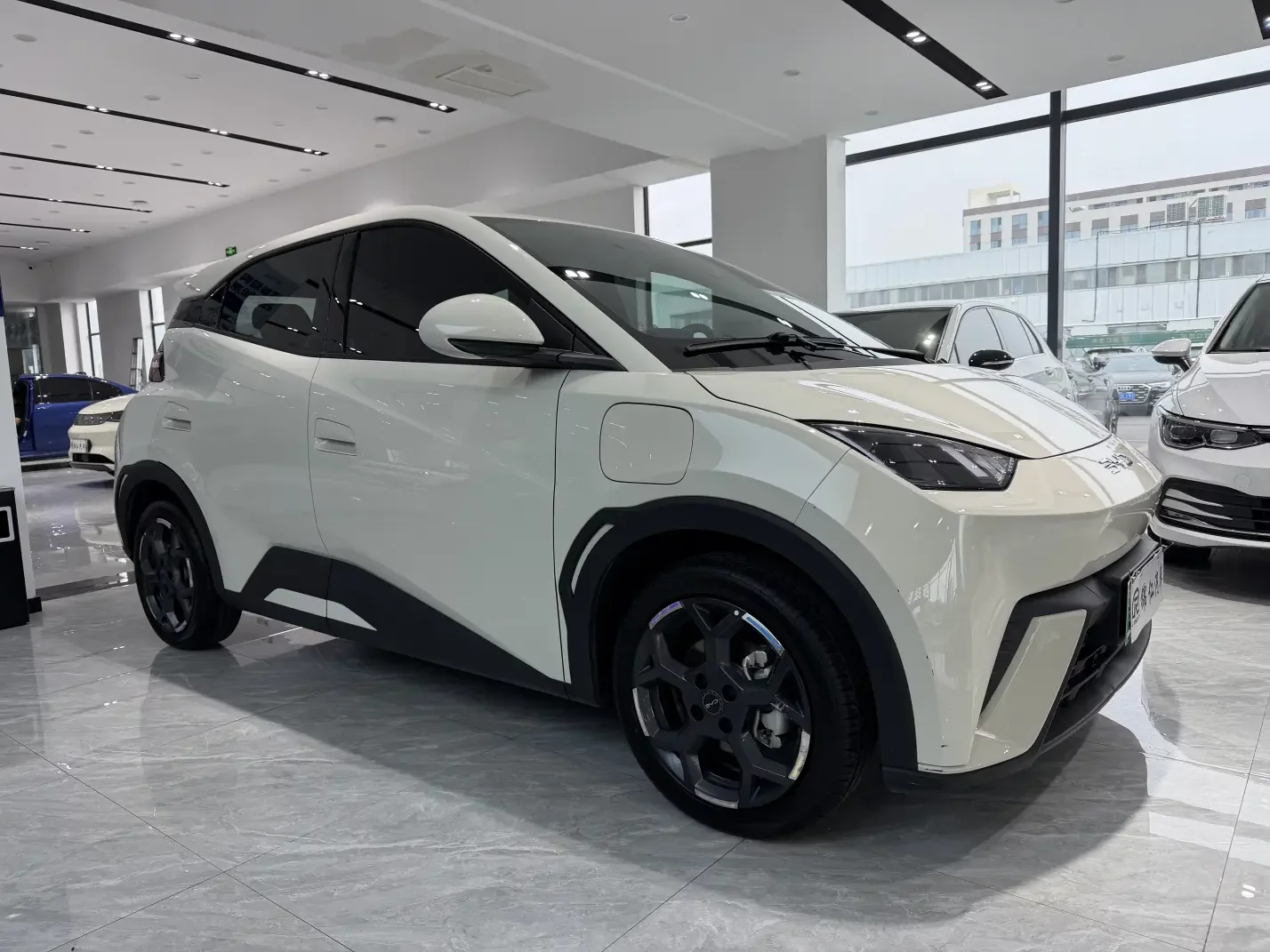BYD seagull