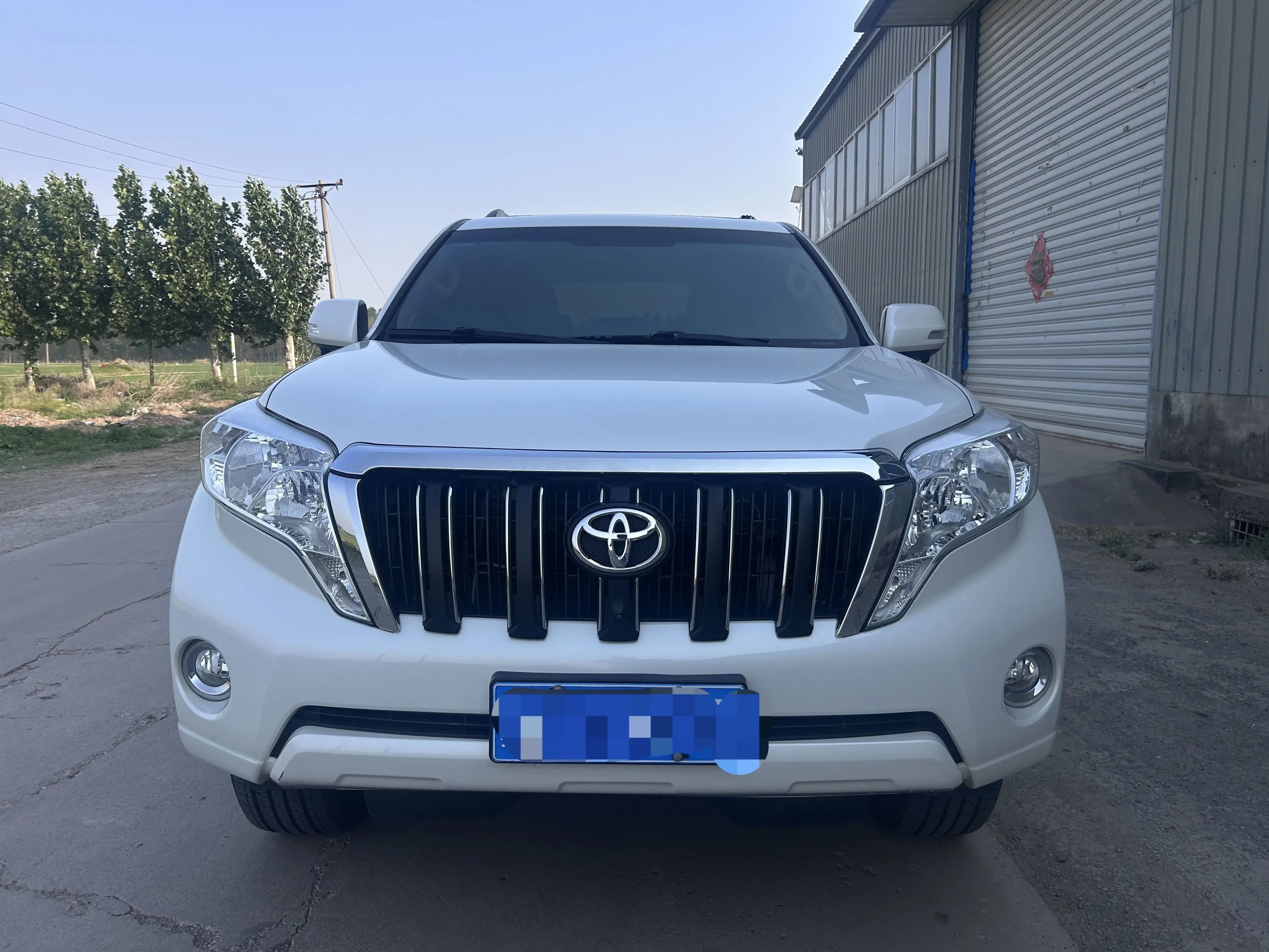Toyota prado