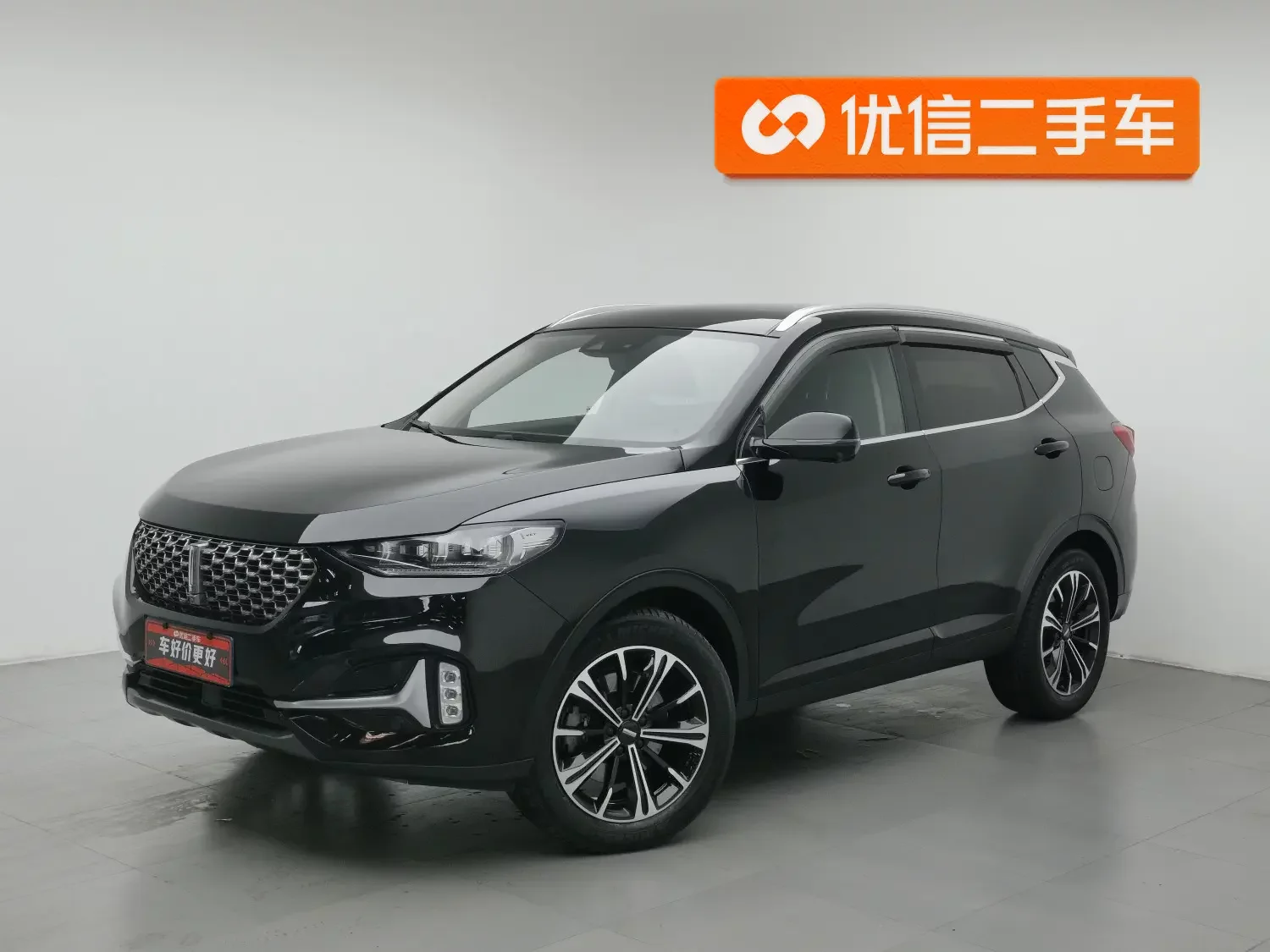 Wey Wei brand VV6