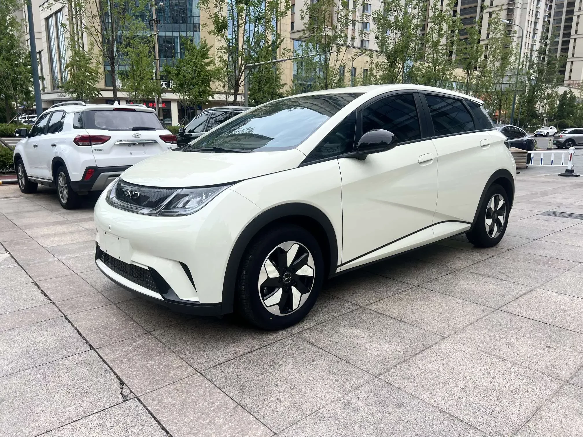 BYD dolphin