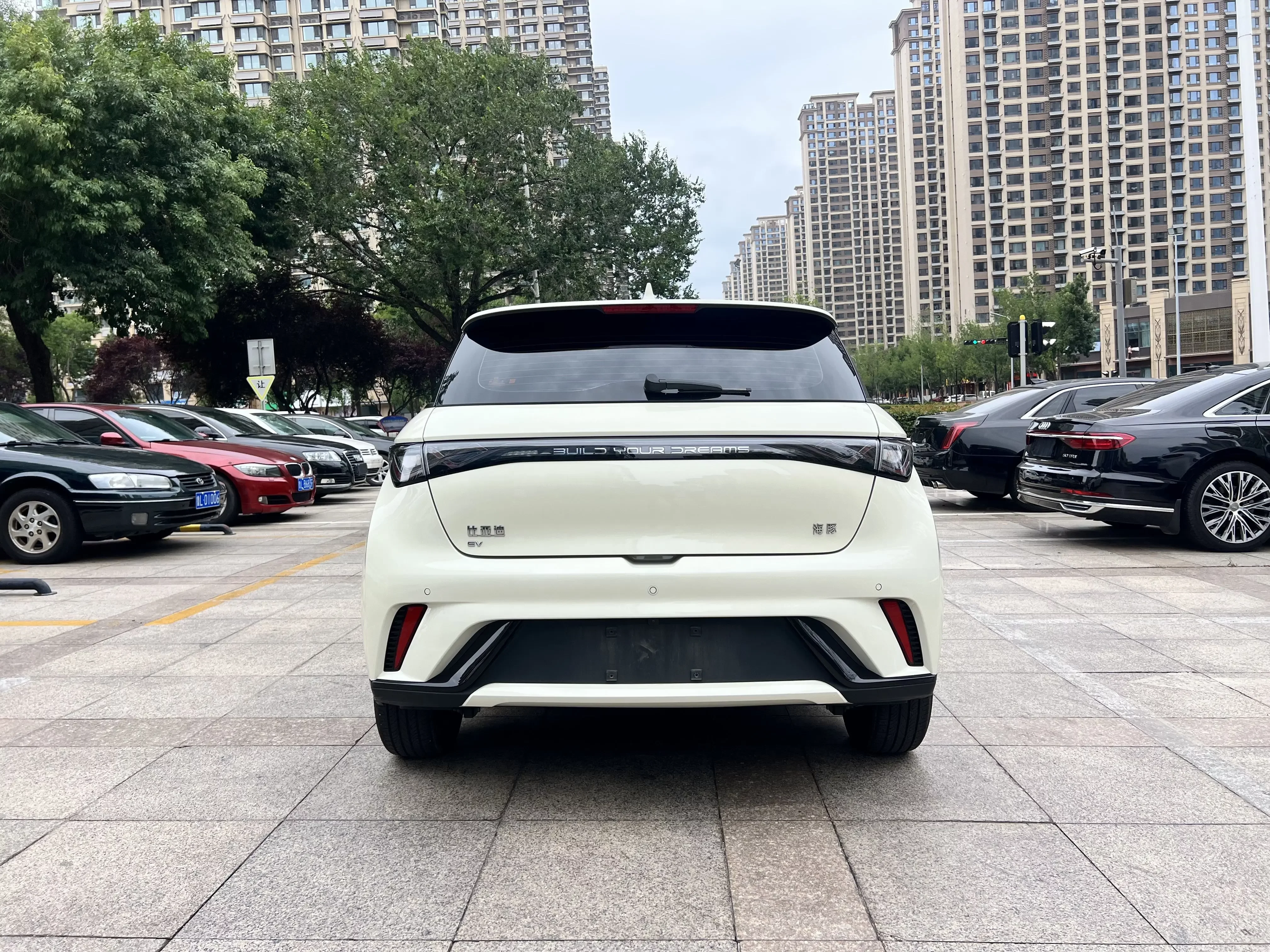 BYD dolphin