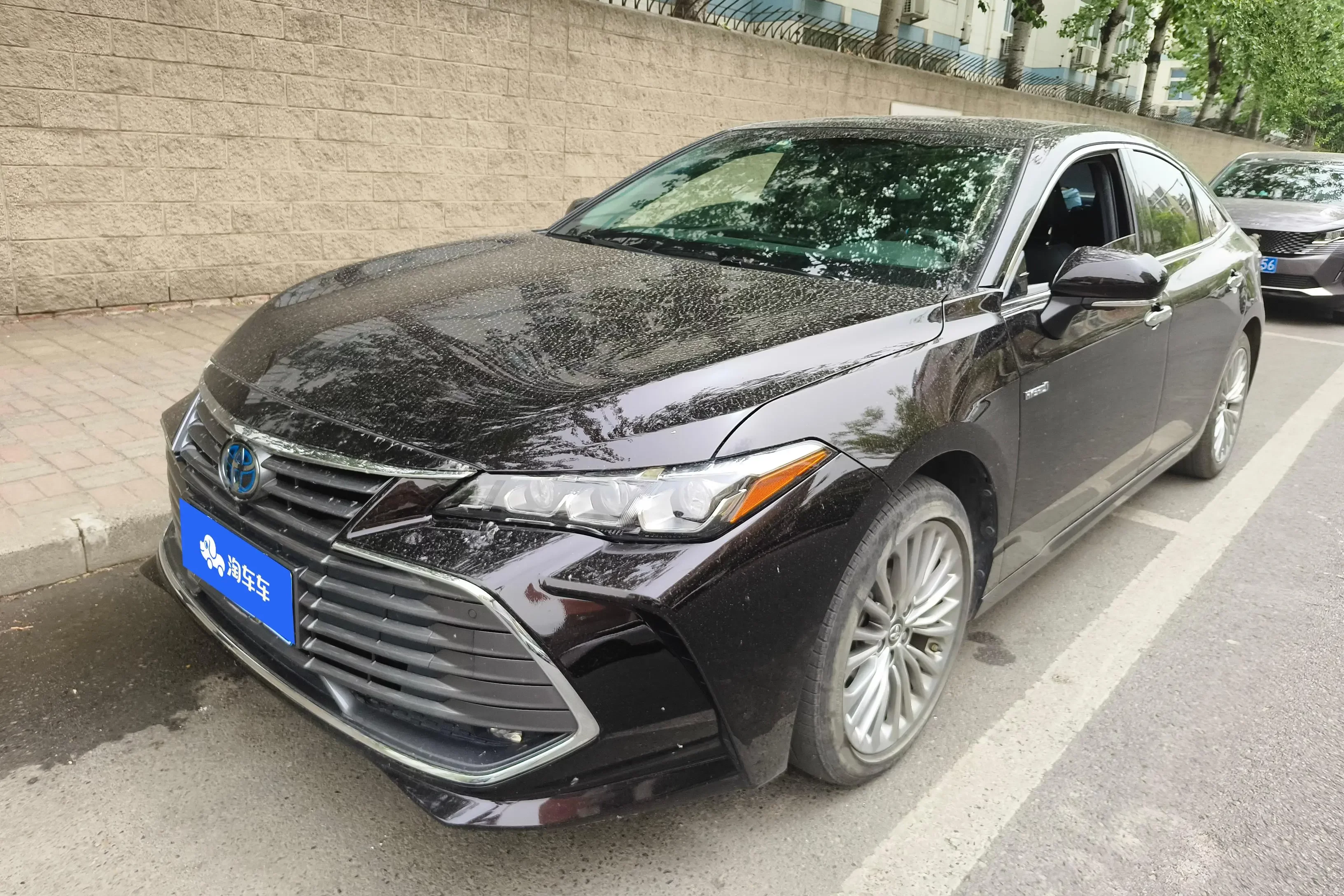 Toyota Avalon (asian dragon)