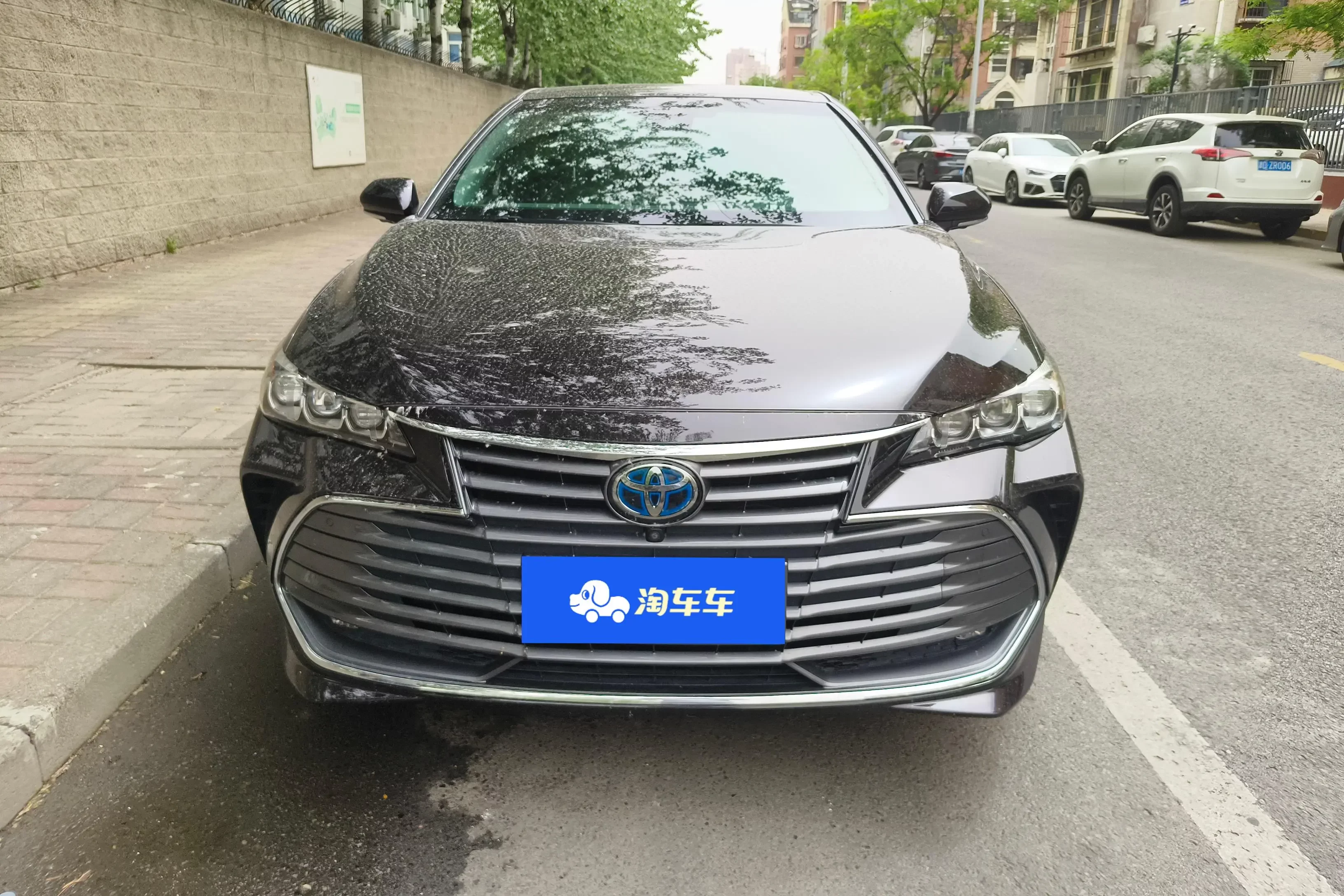 Toyota Avalon (asian dragon)