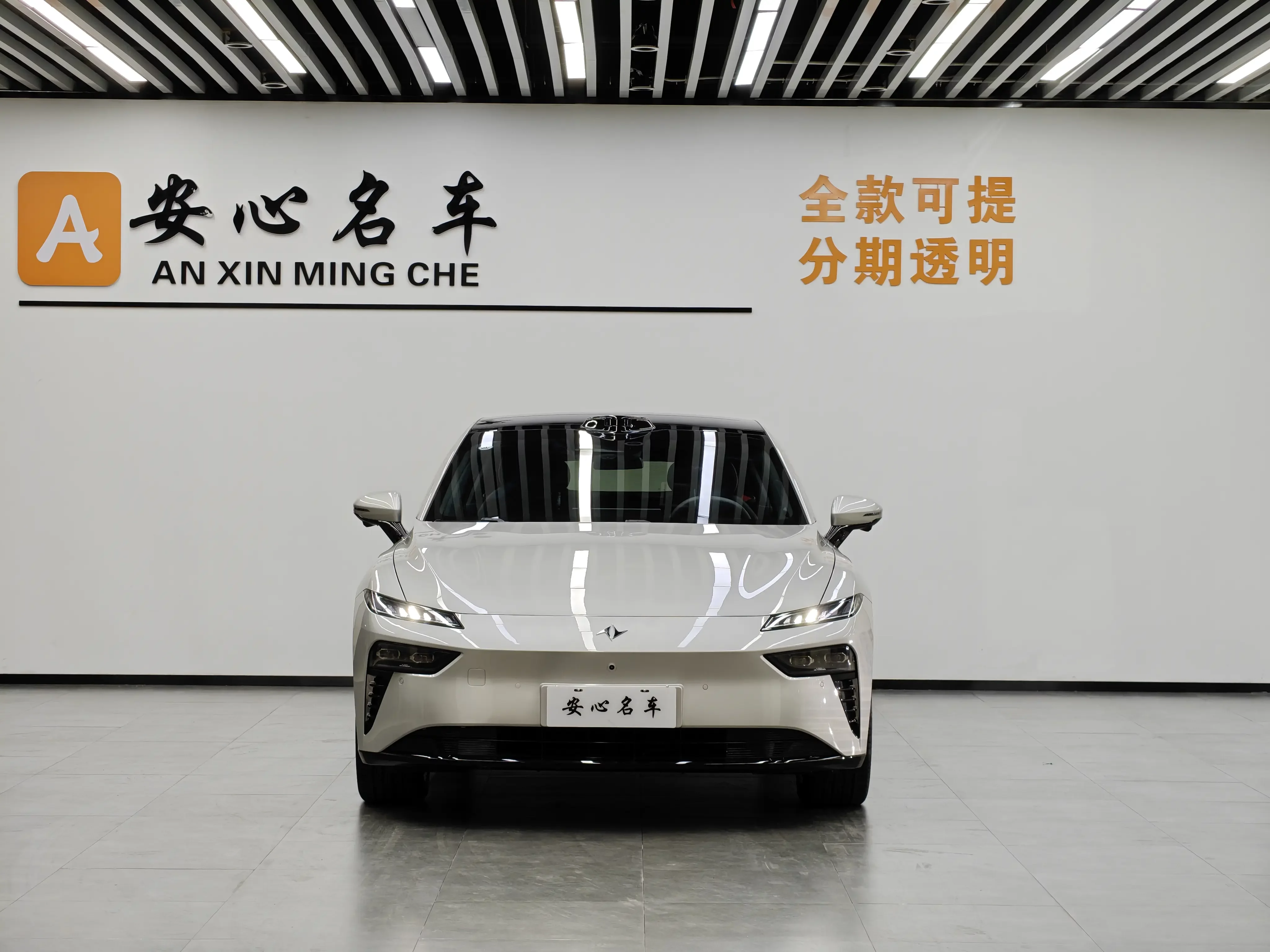 Dongfeng Yipai 007