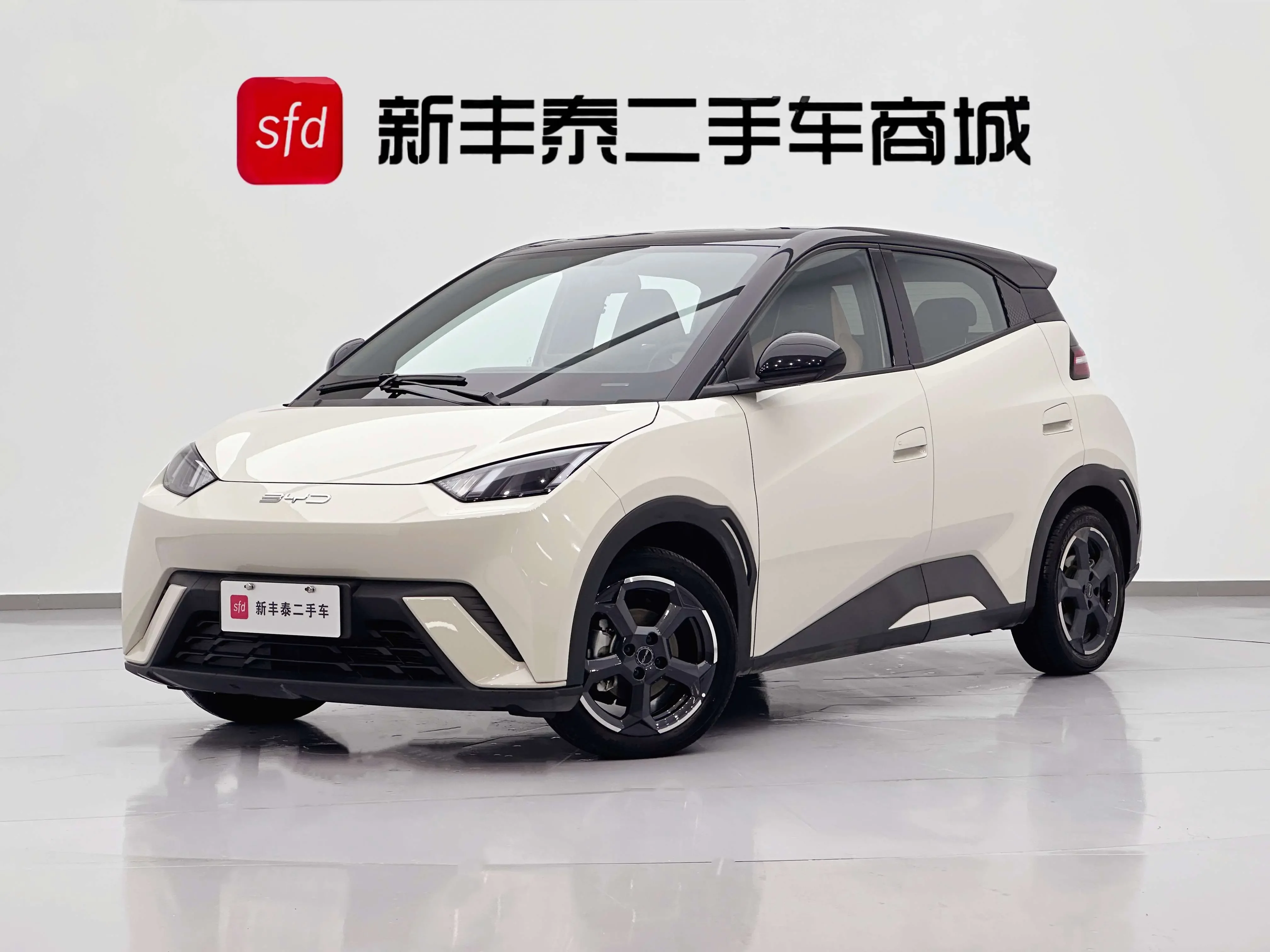 BYD seagull