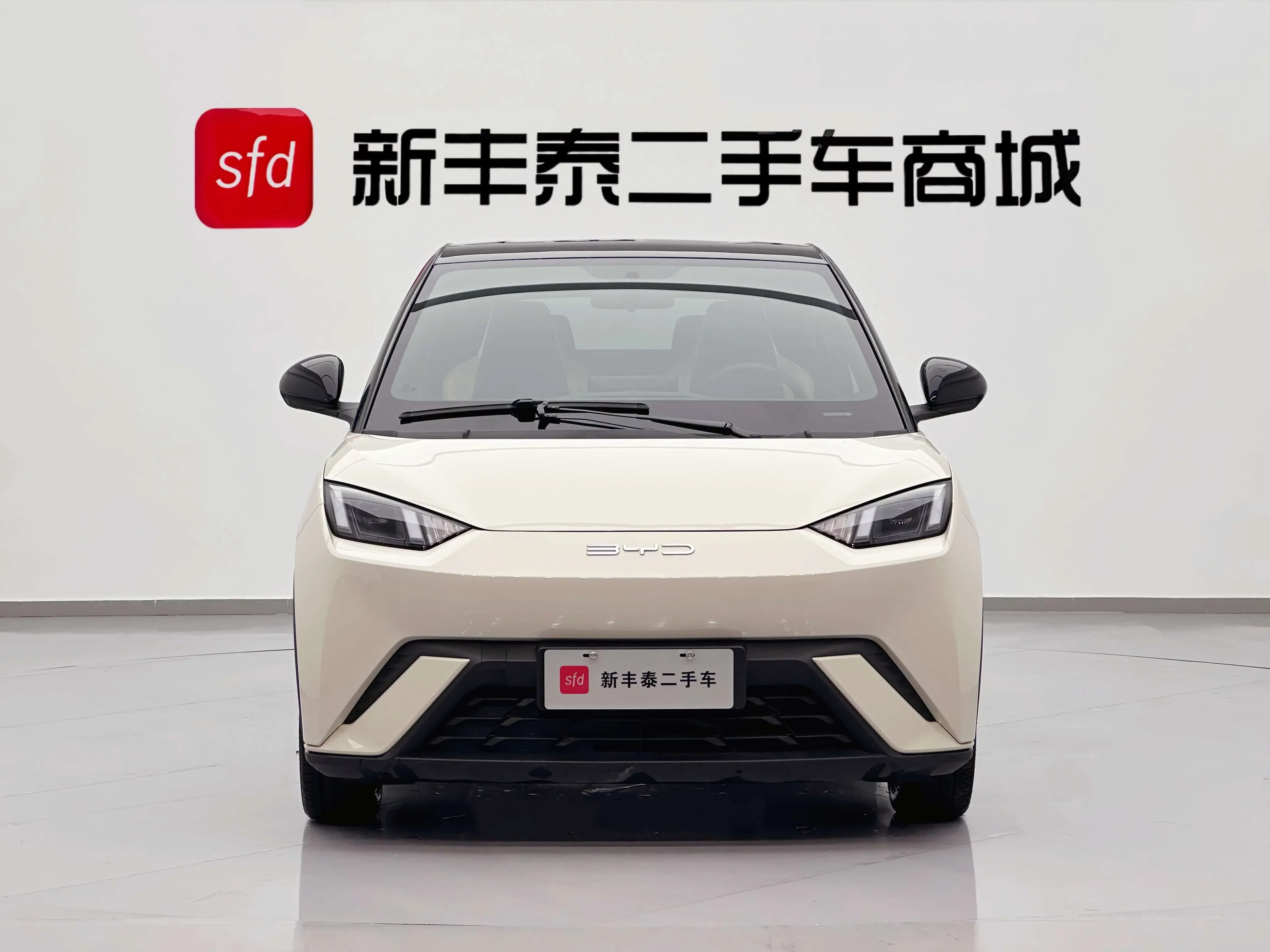 BYD seagull