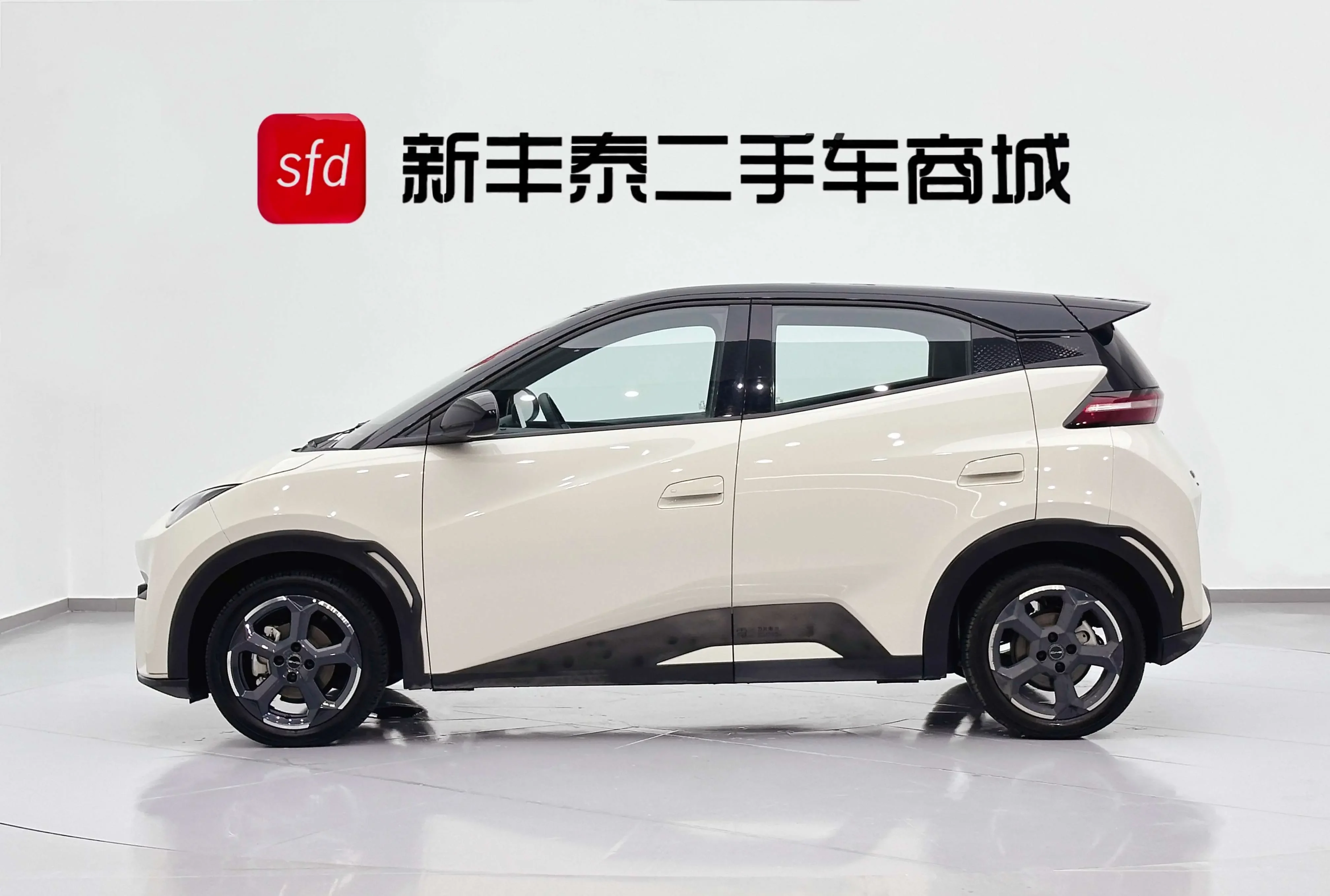 BYD seagull
