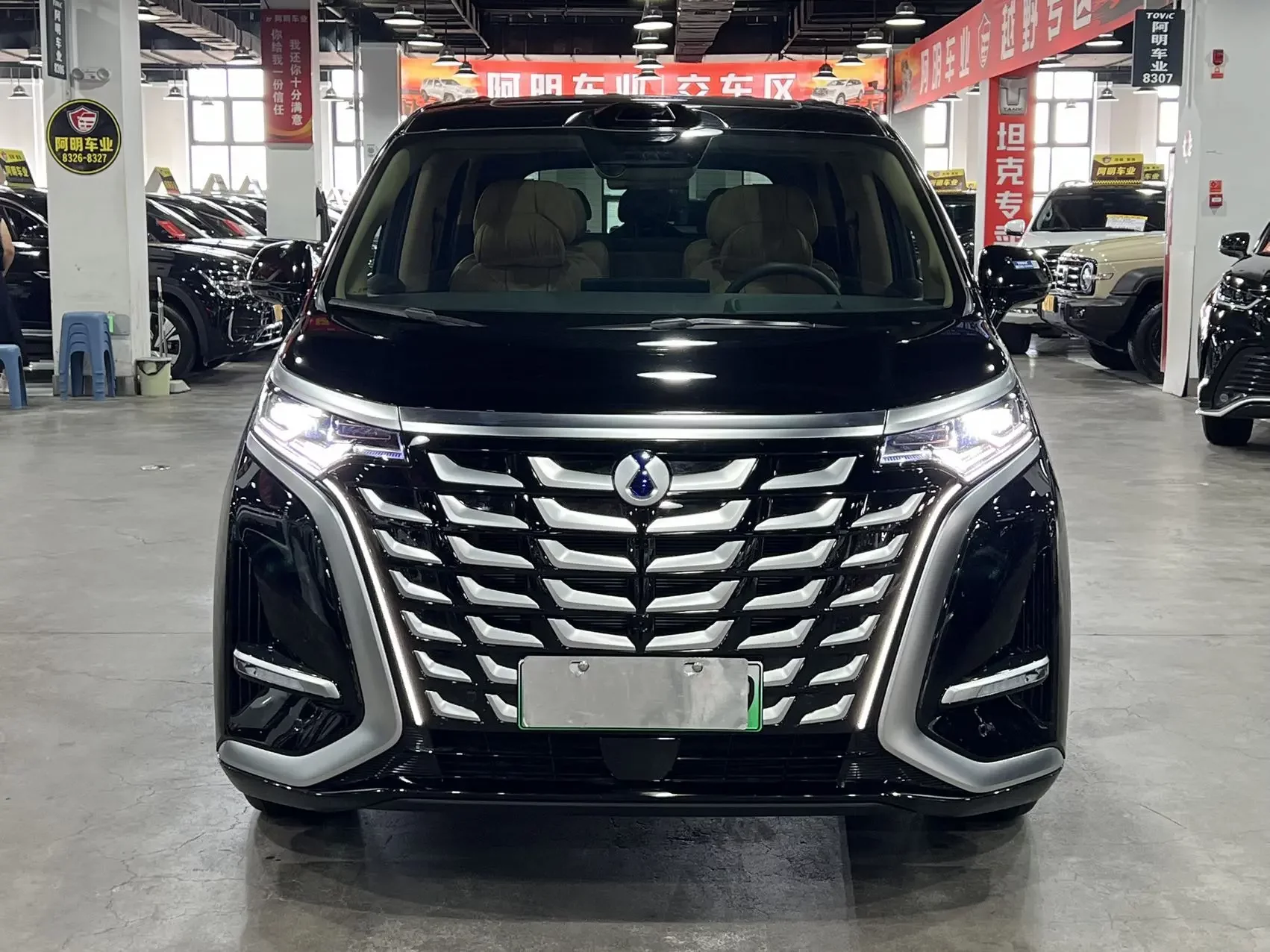 Denza D9 DM