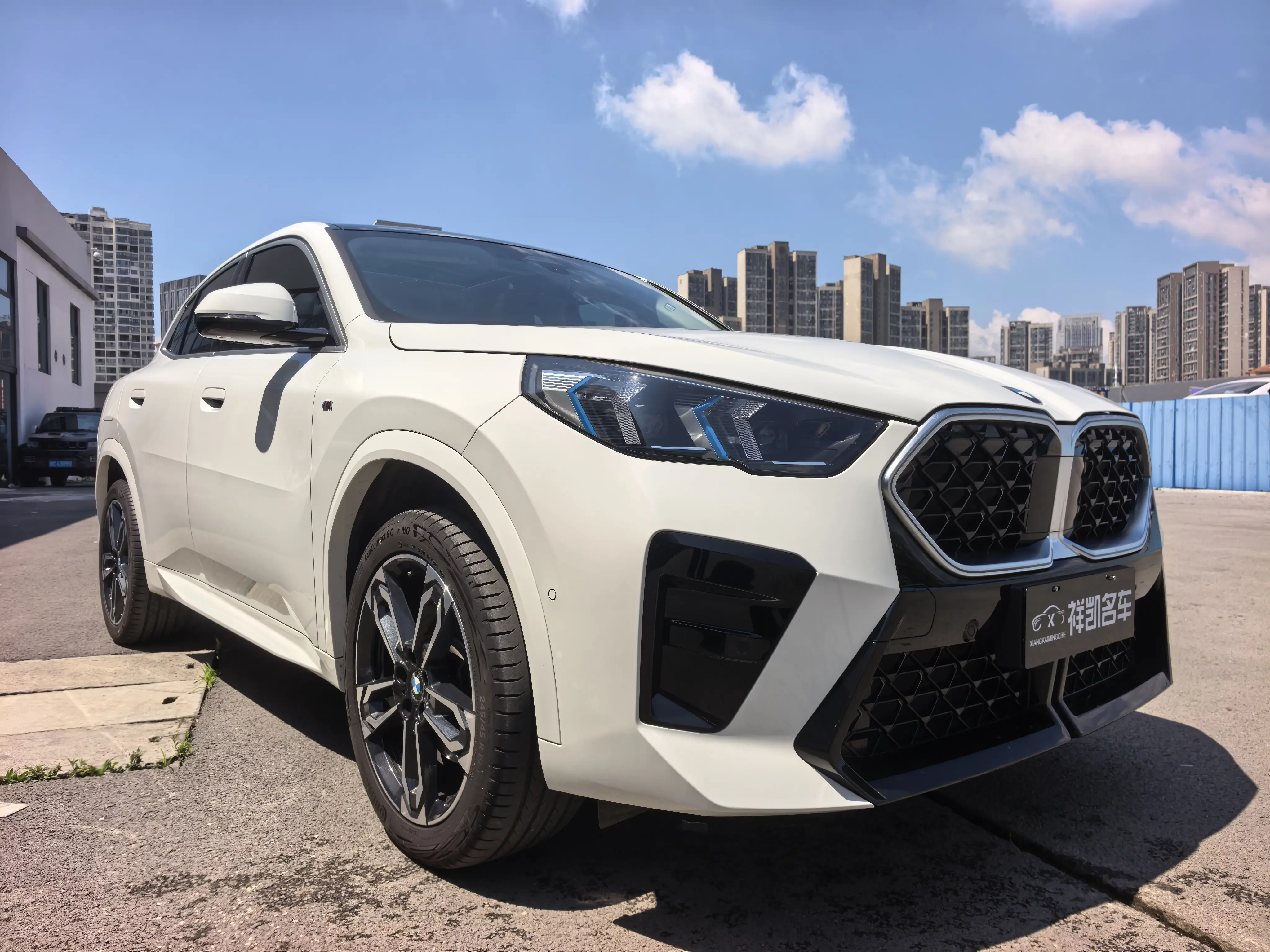 BMW X2
