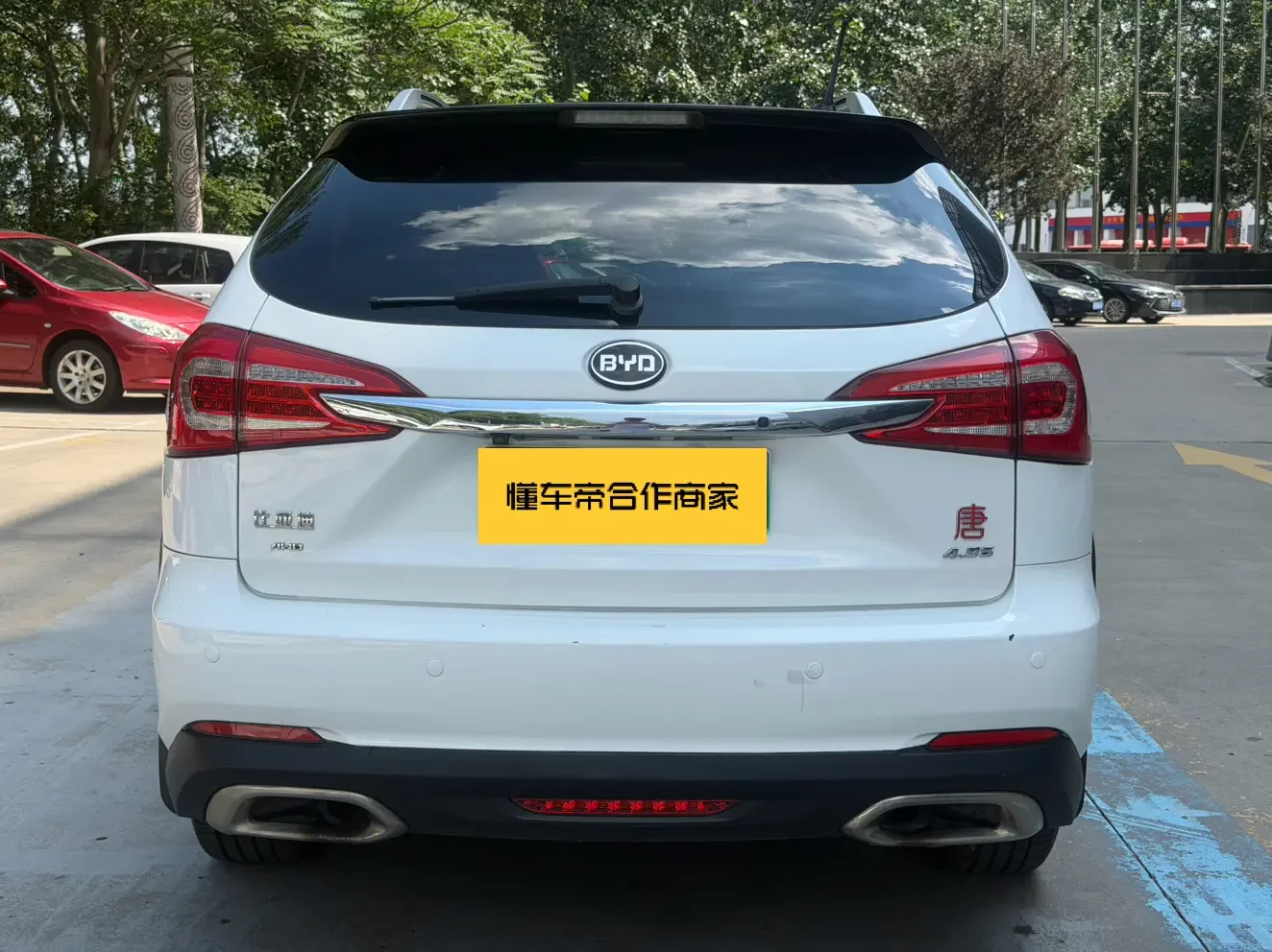 BYD Tang DM