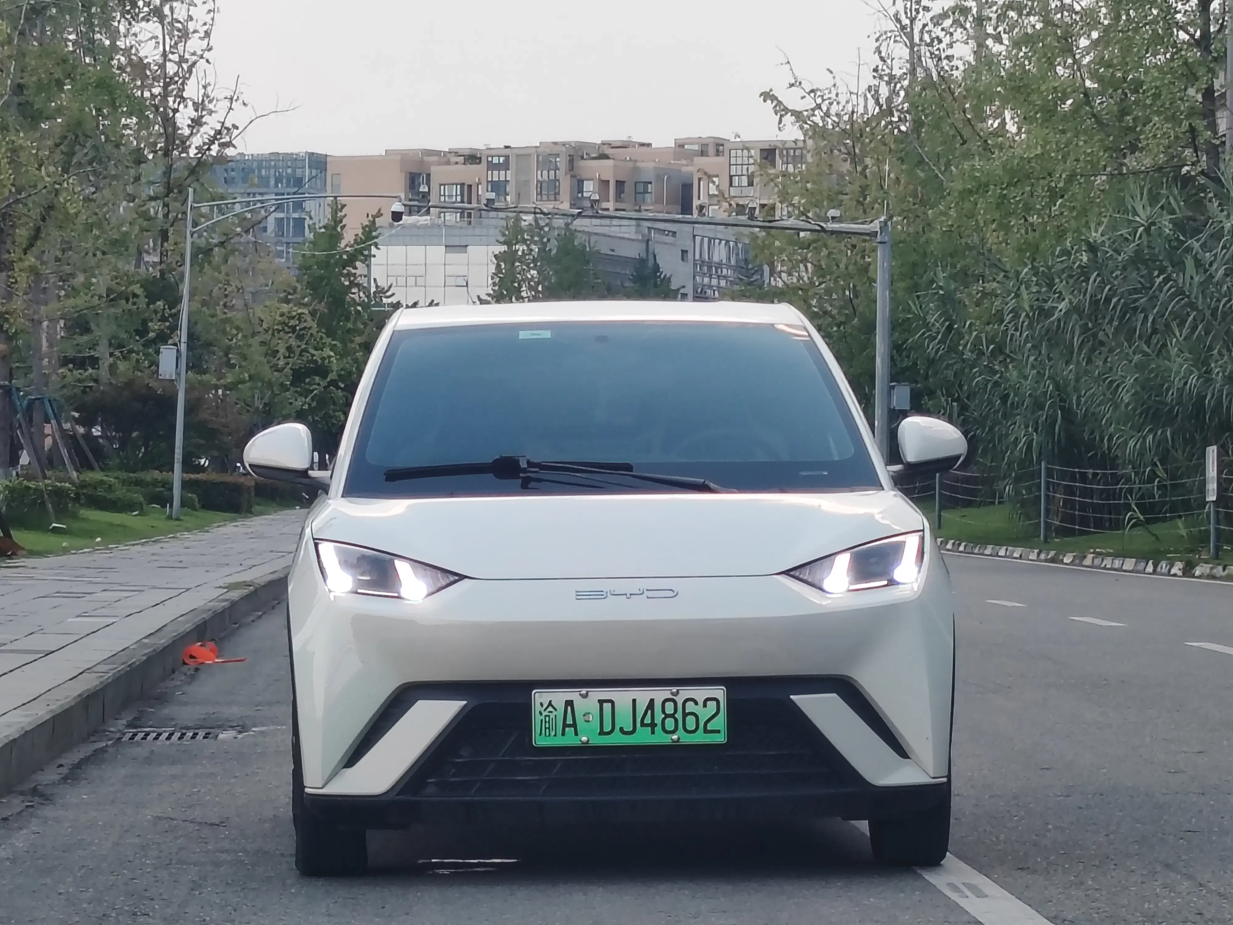 BYD seagull