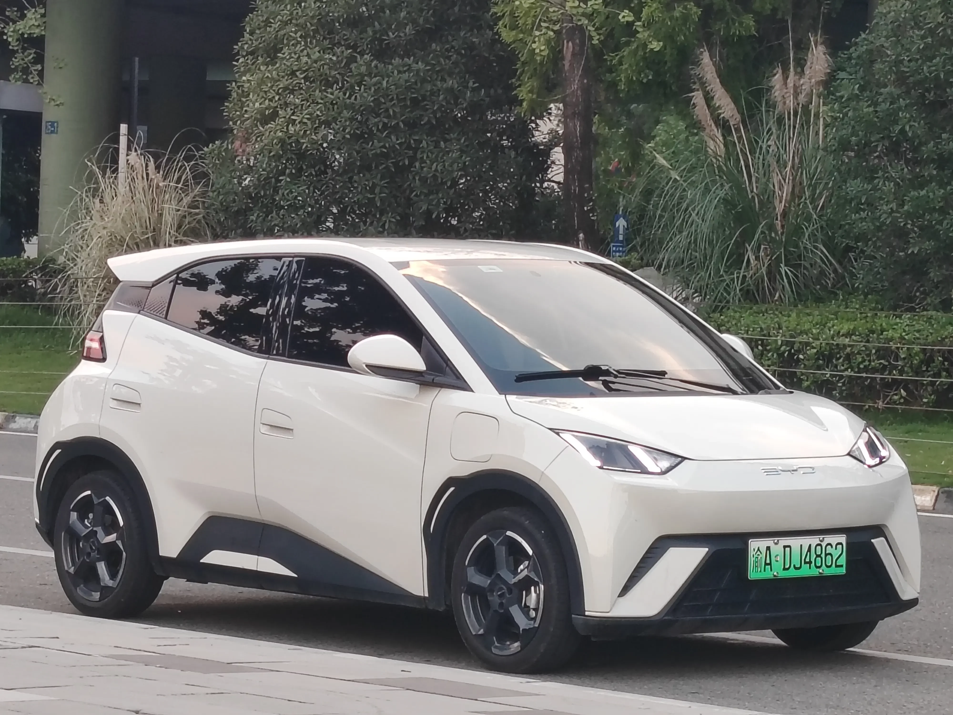 BYD seagull