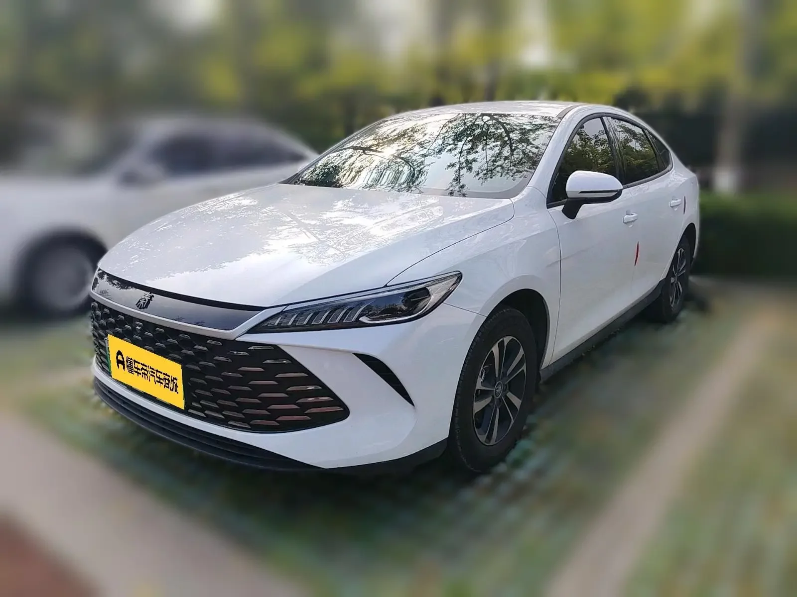 BYD Qin PLUS DM