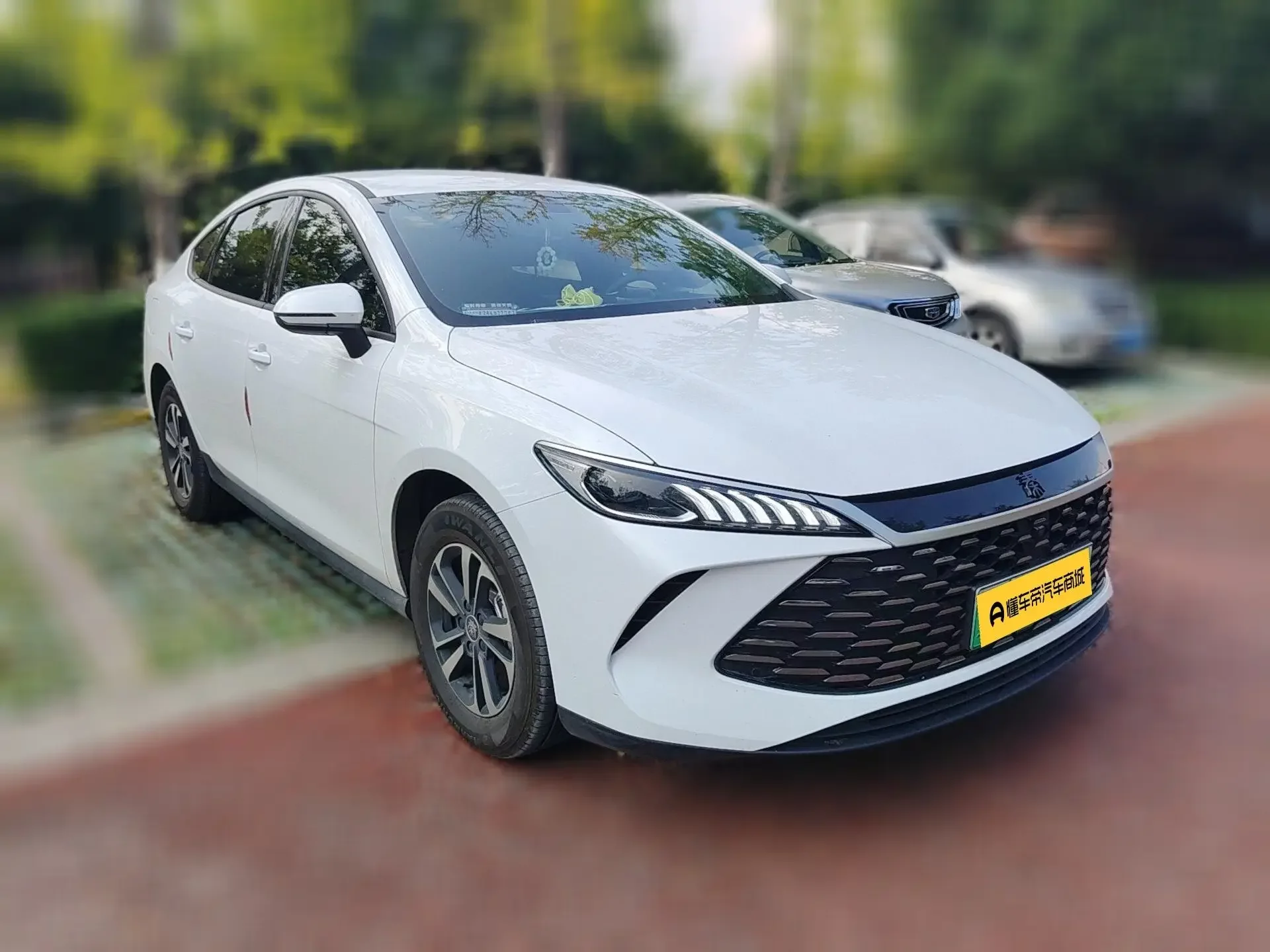 BYD Qin PLUS DM