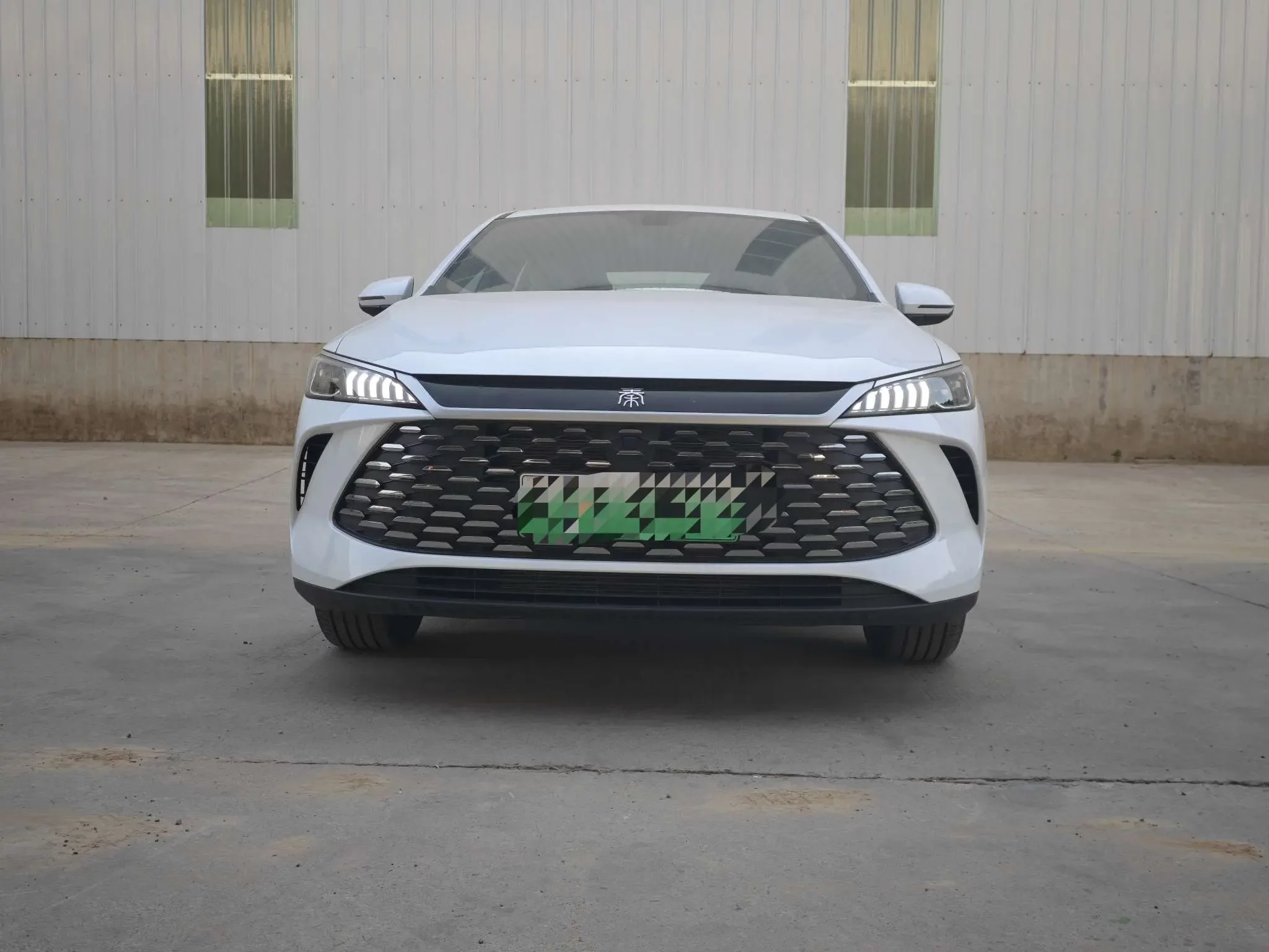 BYD Qin PLUS DM