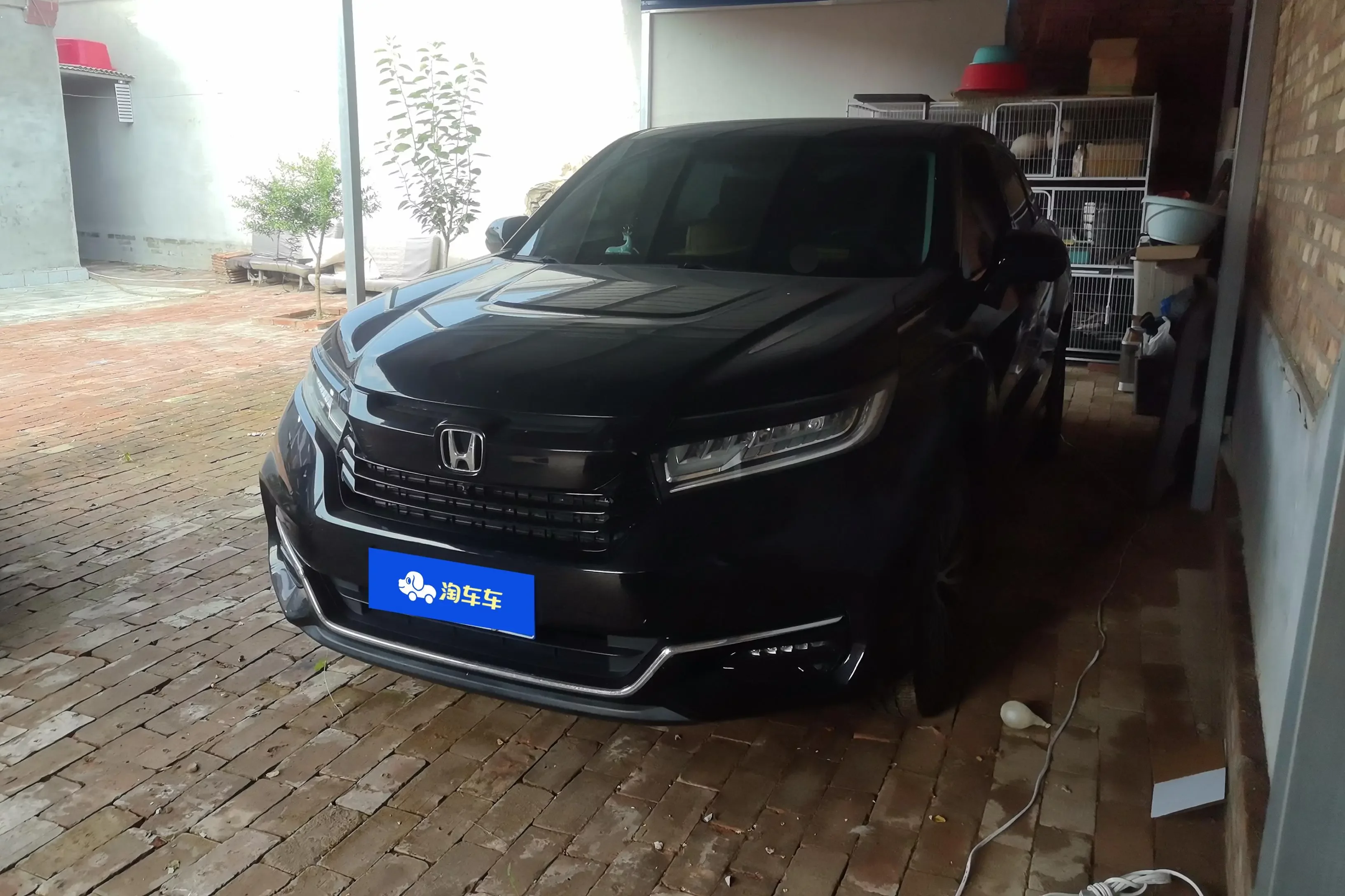 Honda Avancier (Crown Road)