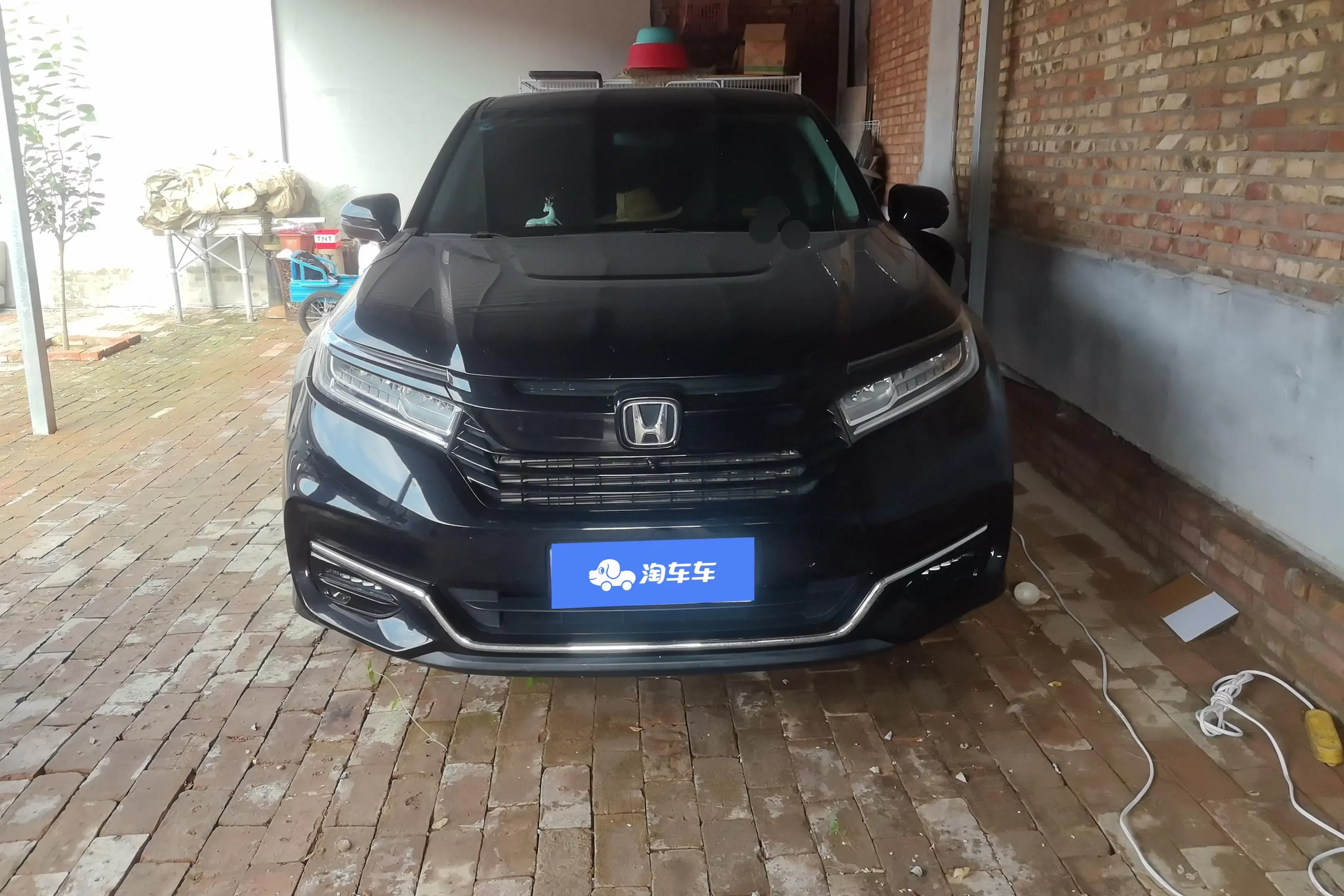 Honda Avancier (Crown Road)