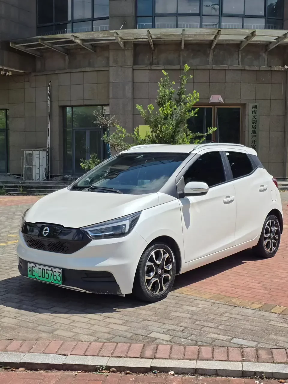 Jiangling Yizhi EV3