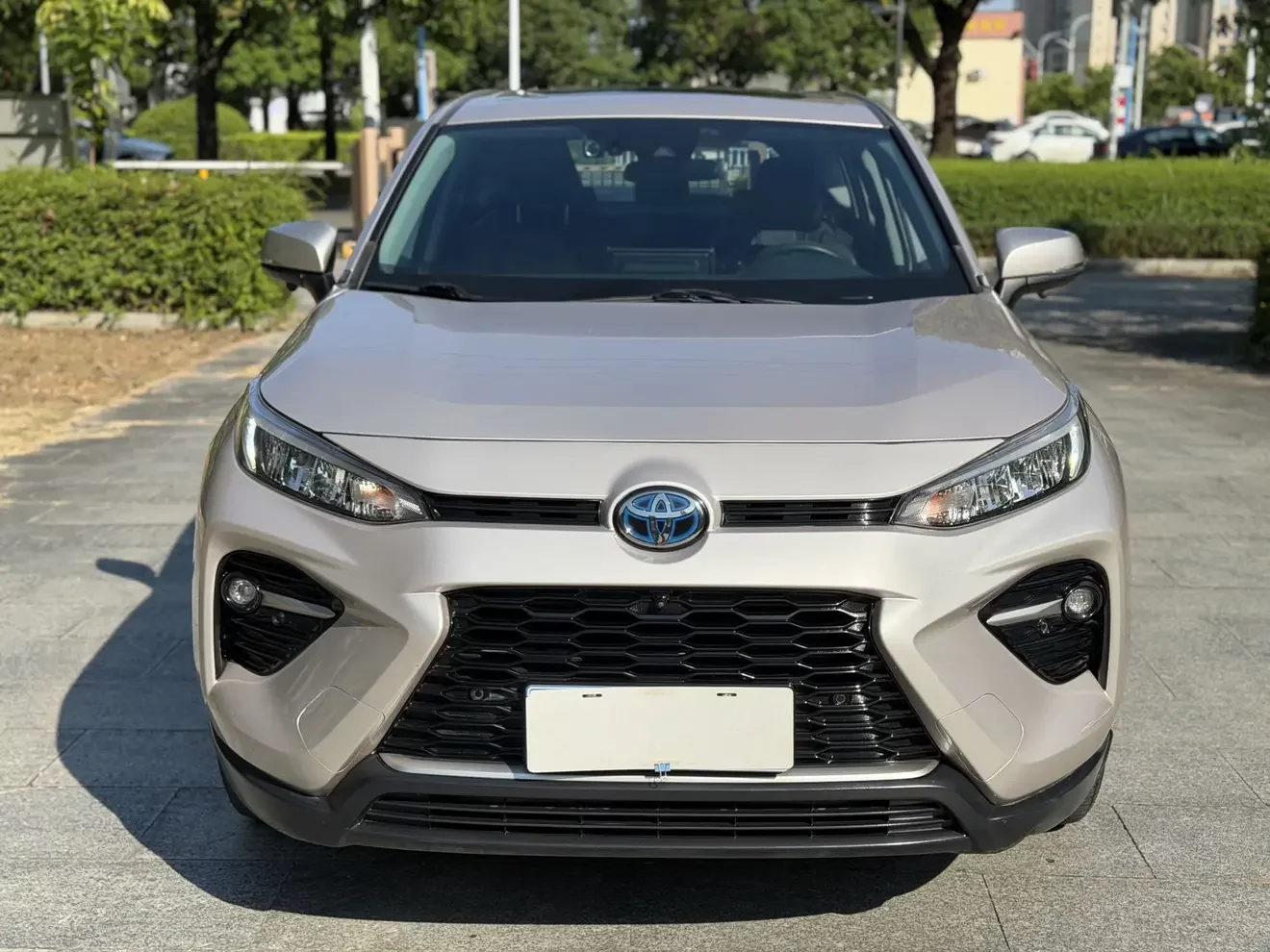 Toyota Willanda