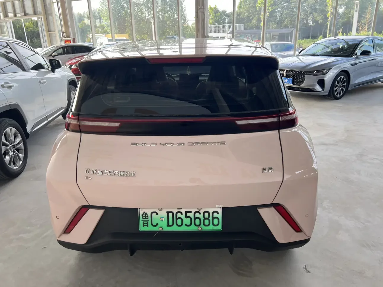 BYD seagull