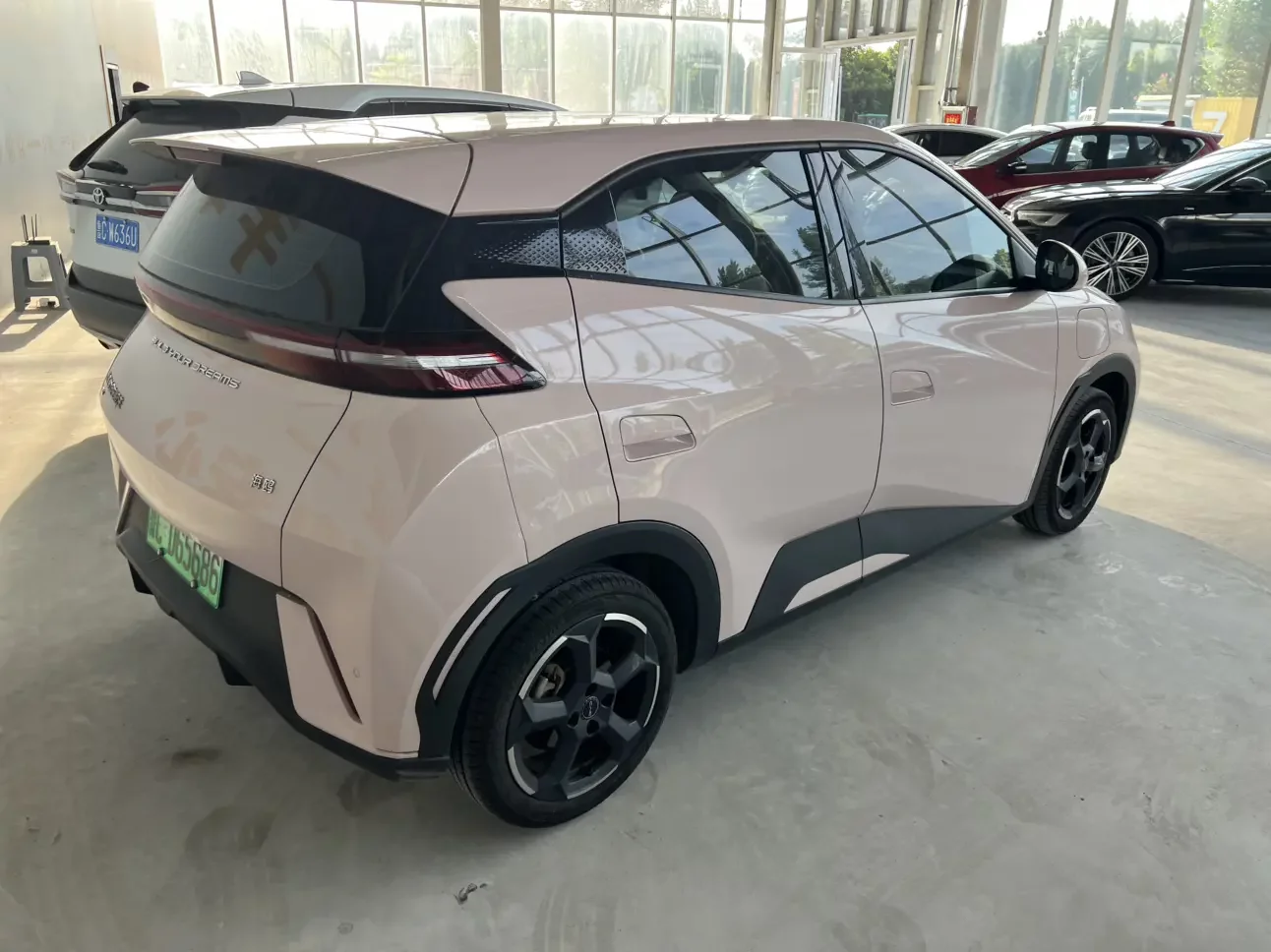 BYD seagull