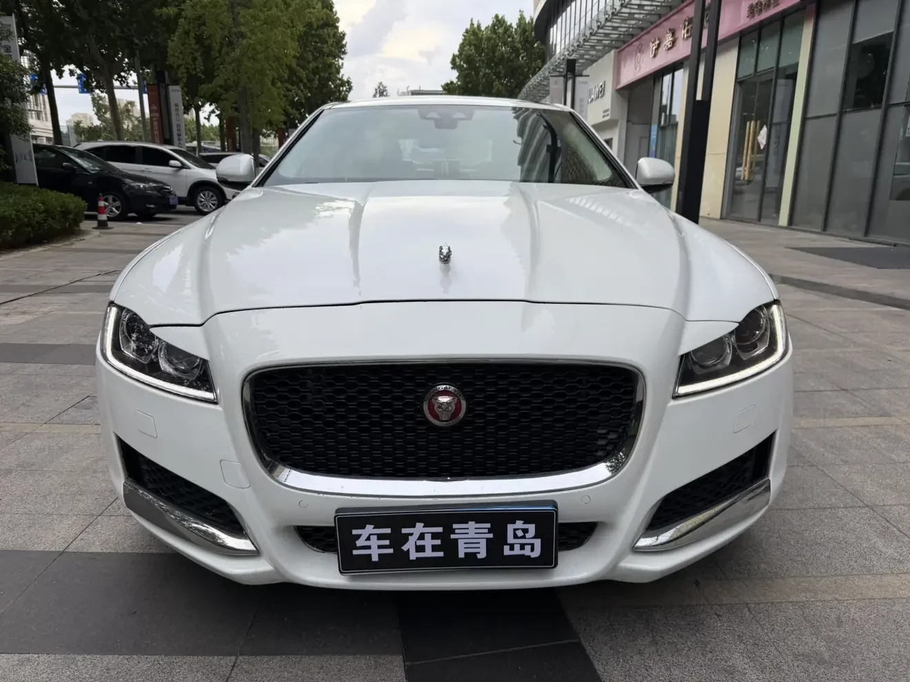 Jaguar XFL