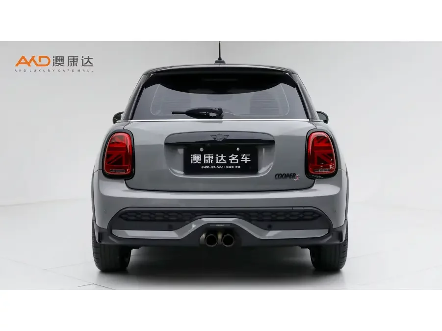 MINI 