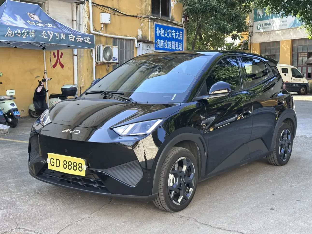 BYD seagull