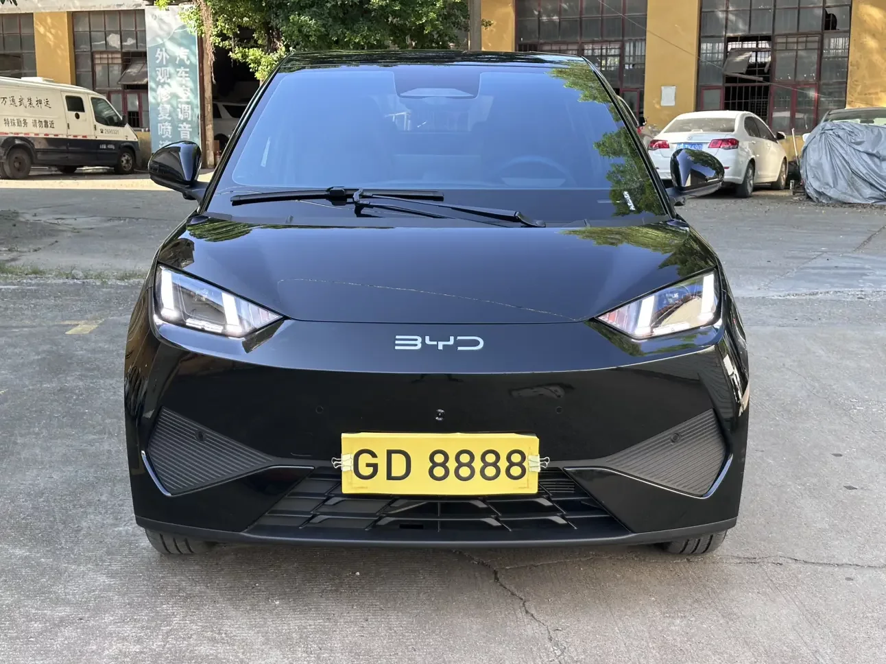 BYD seagull