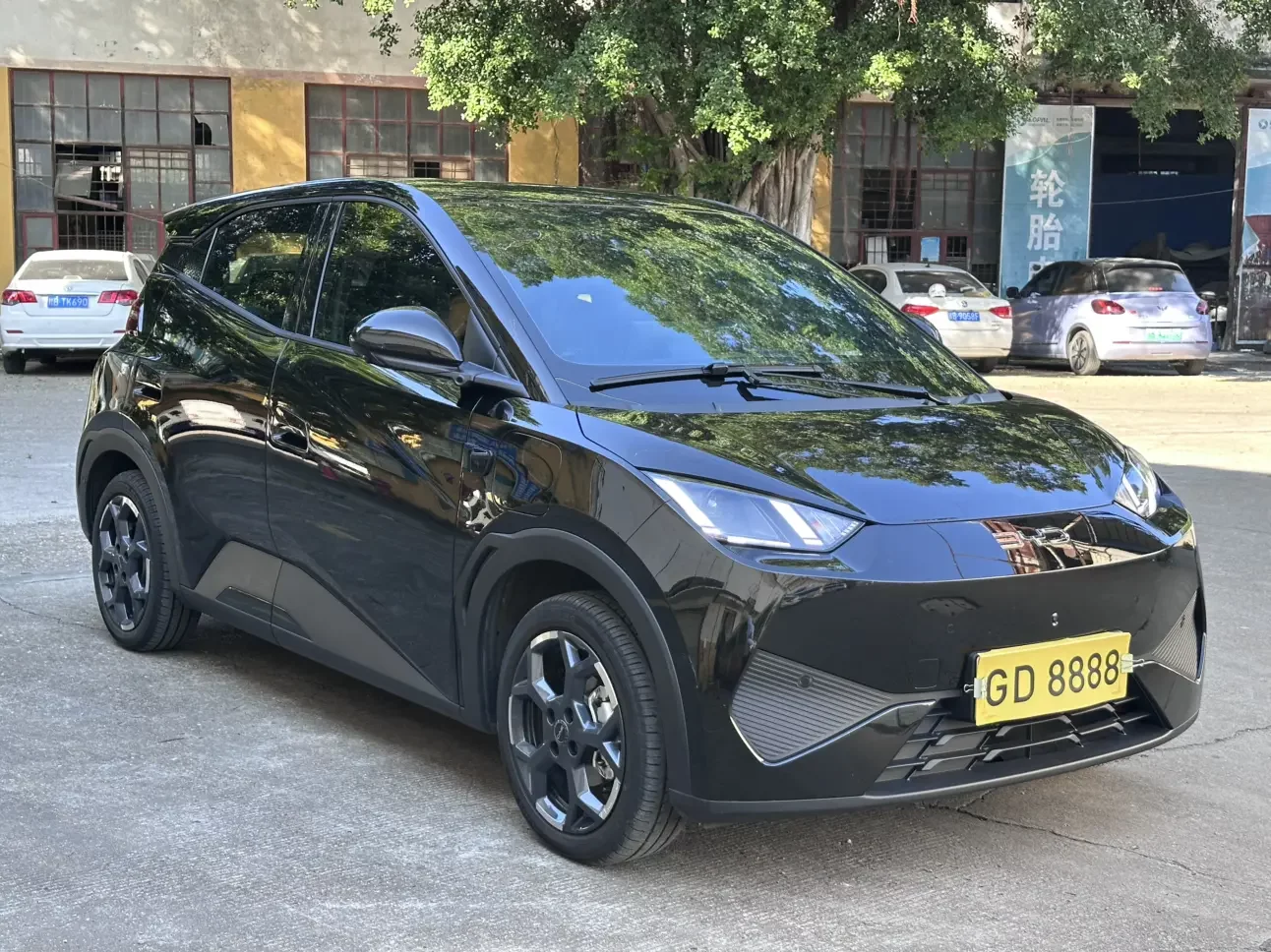 BYD seagull