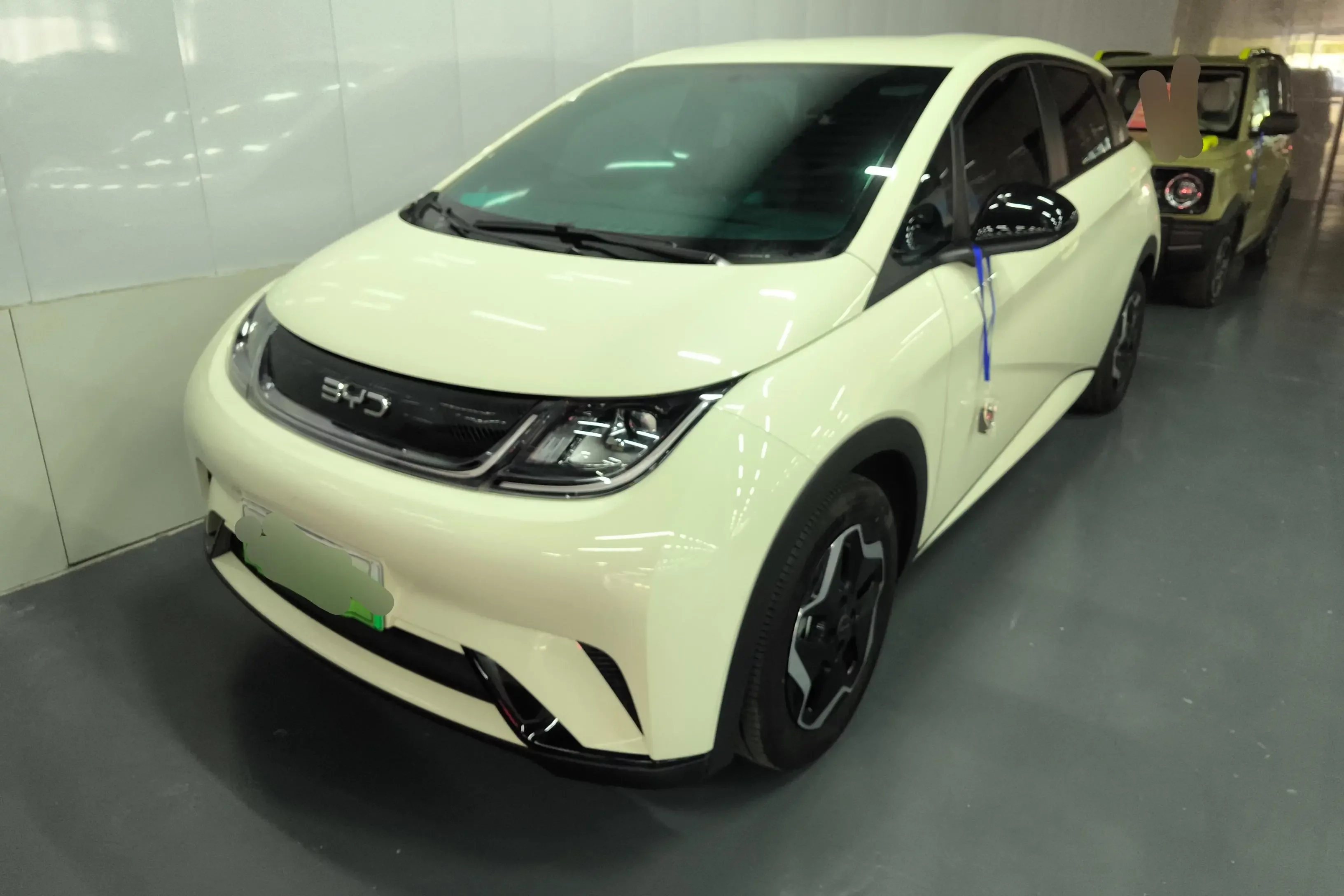 BYD dolphin