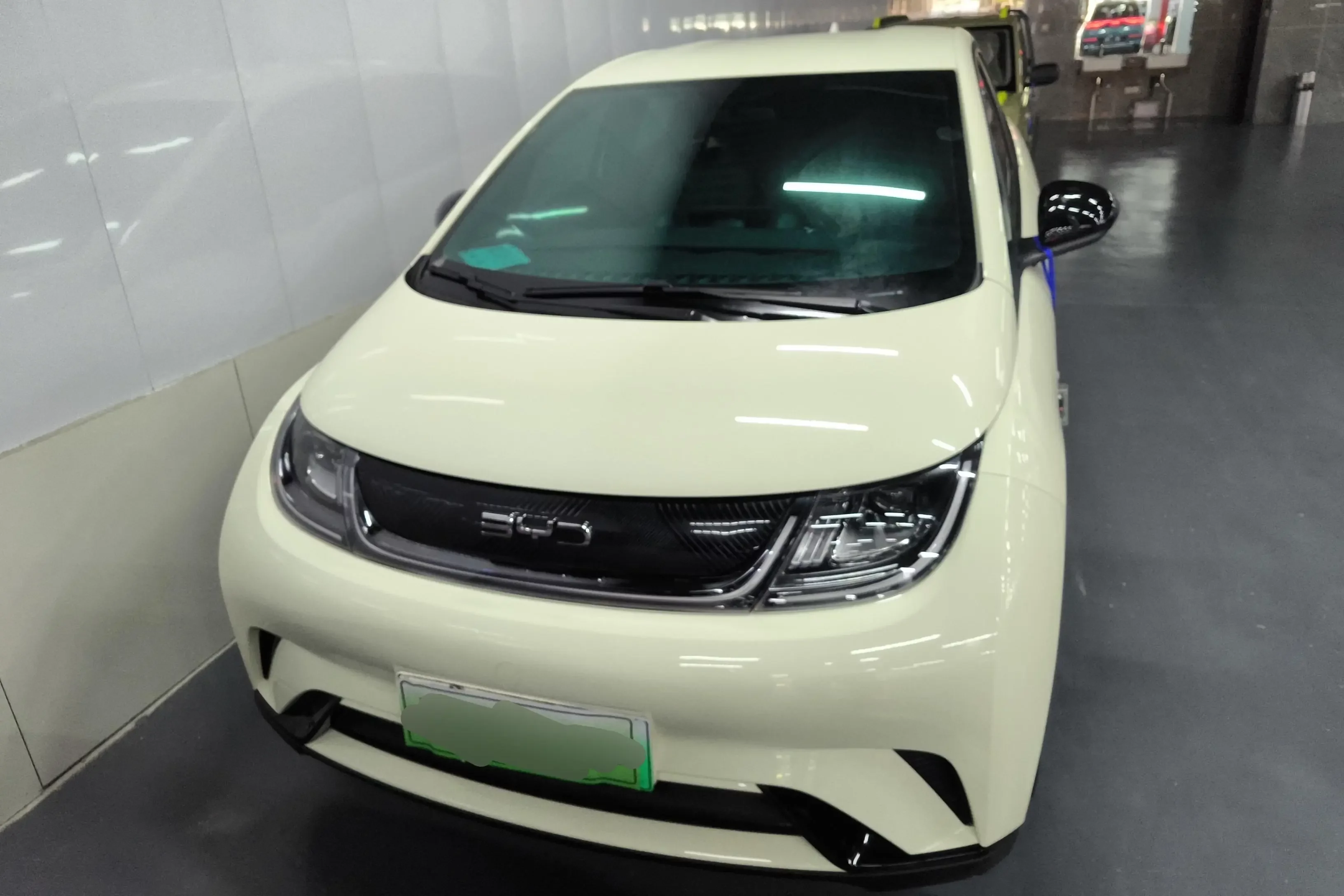 BYD dolphin