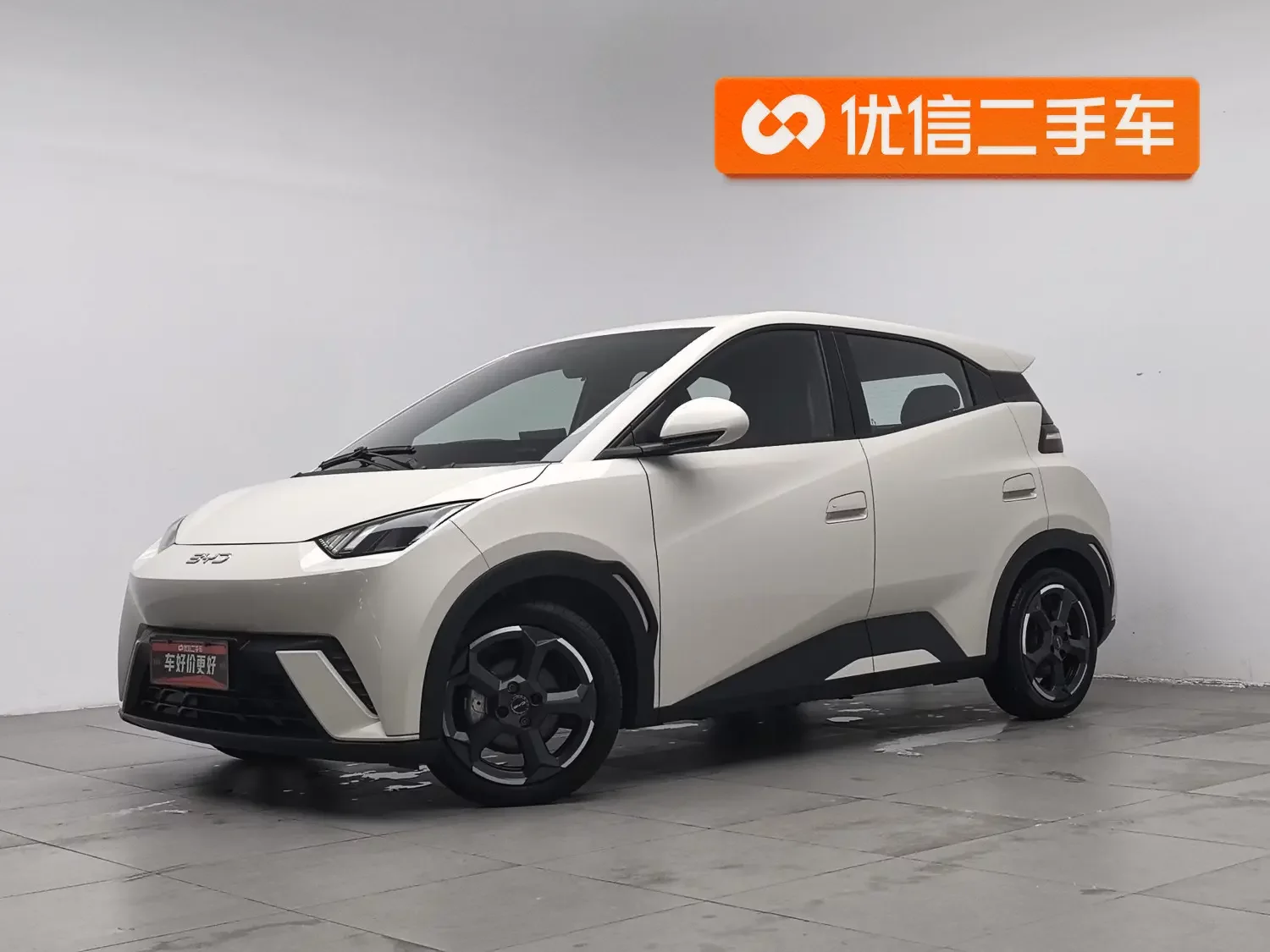 BYD seagull