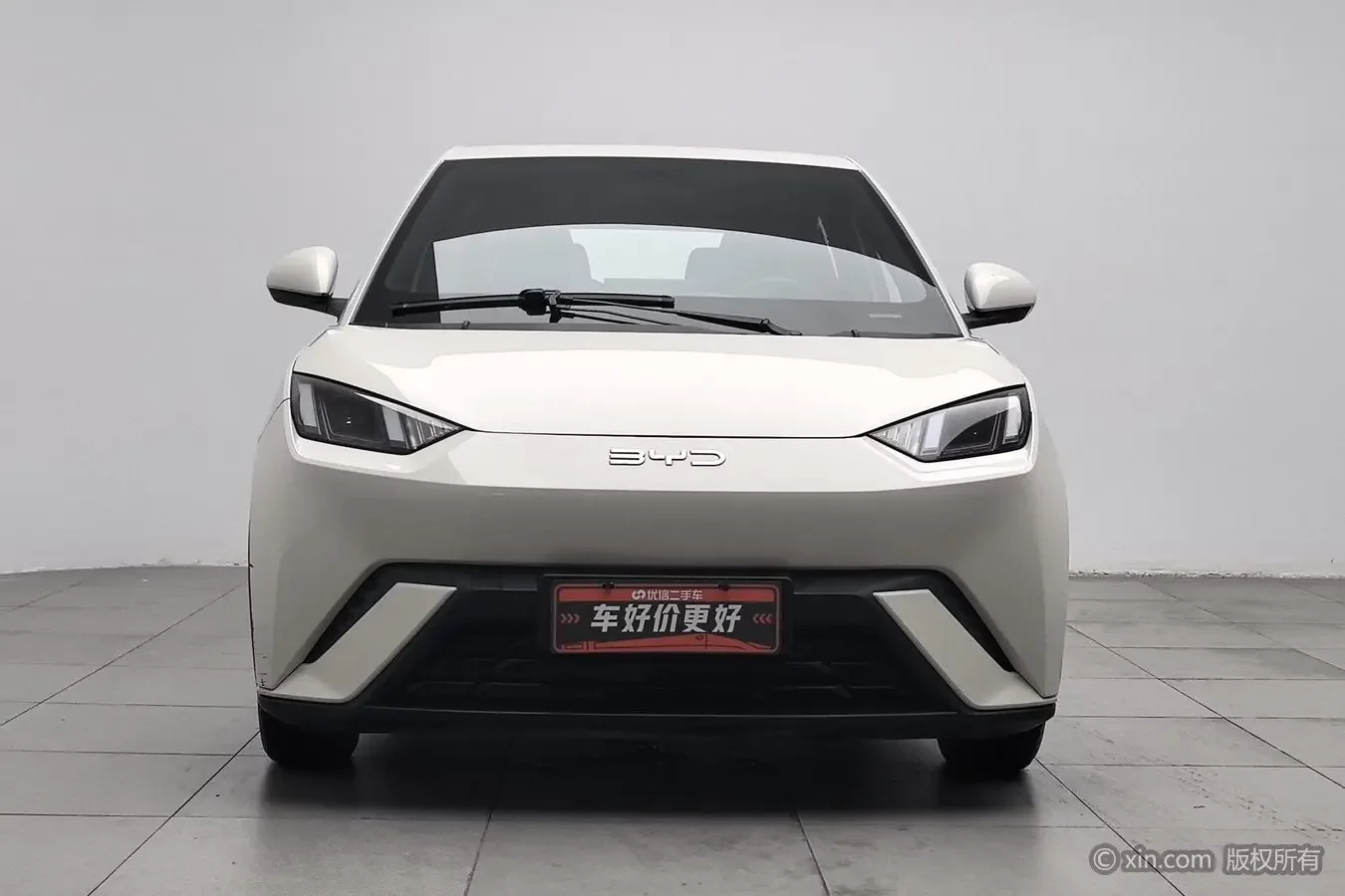 BYD seagull
