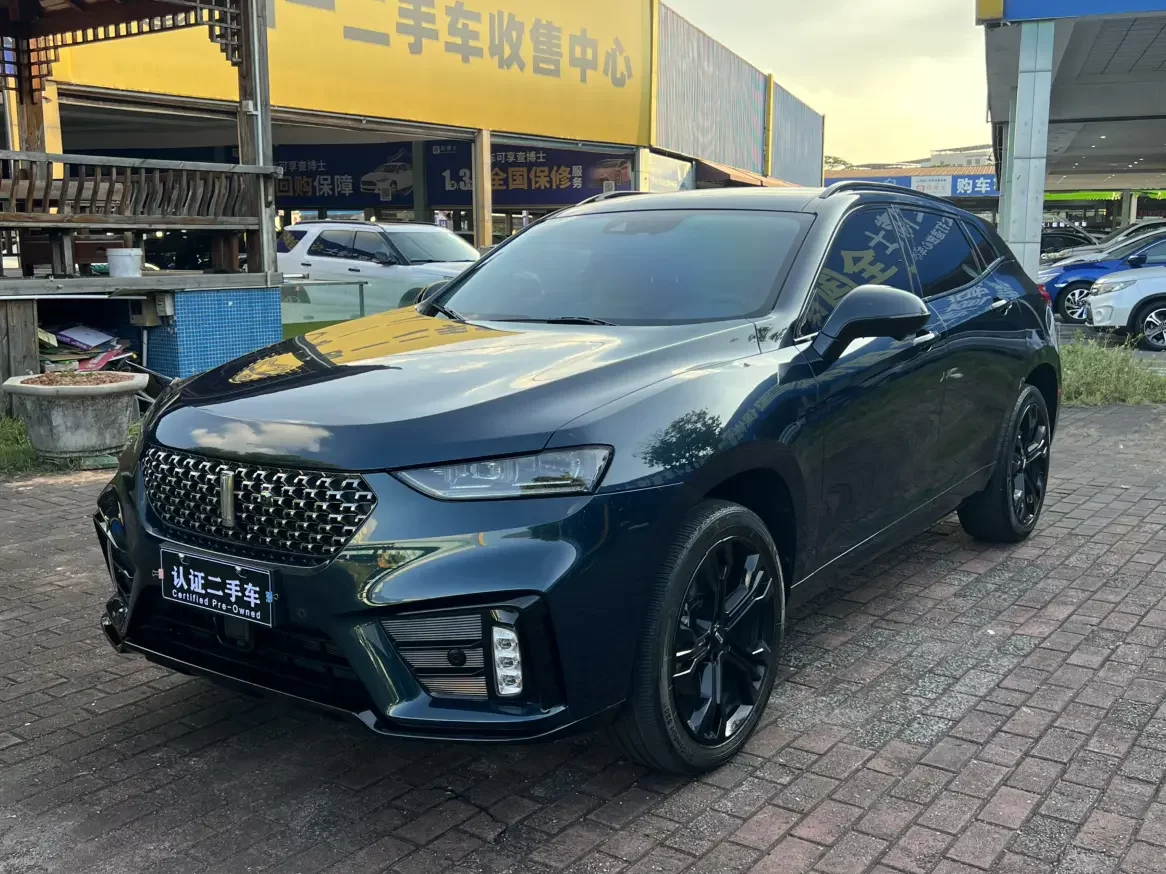 Wey Wei brand VV7